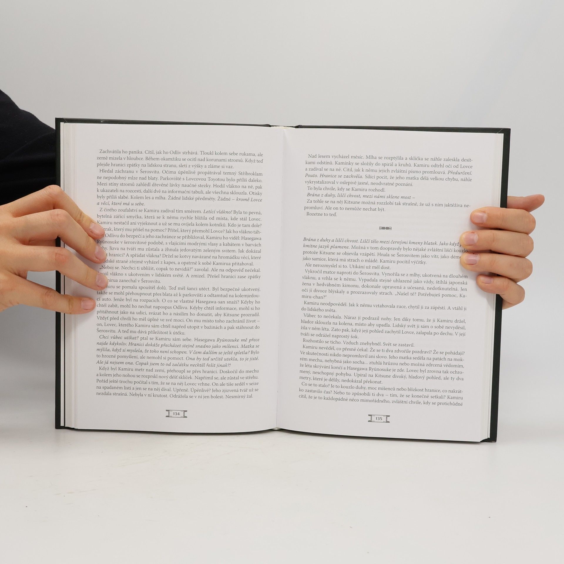 Autorenkollektiv Tajná kniha Šerosvitu