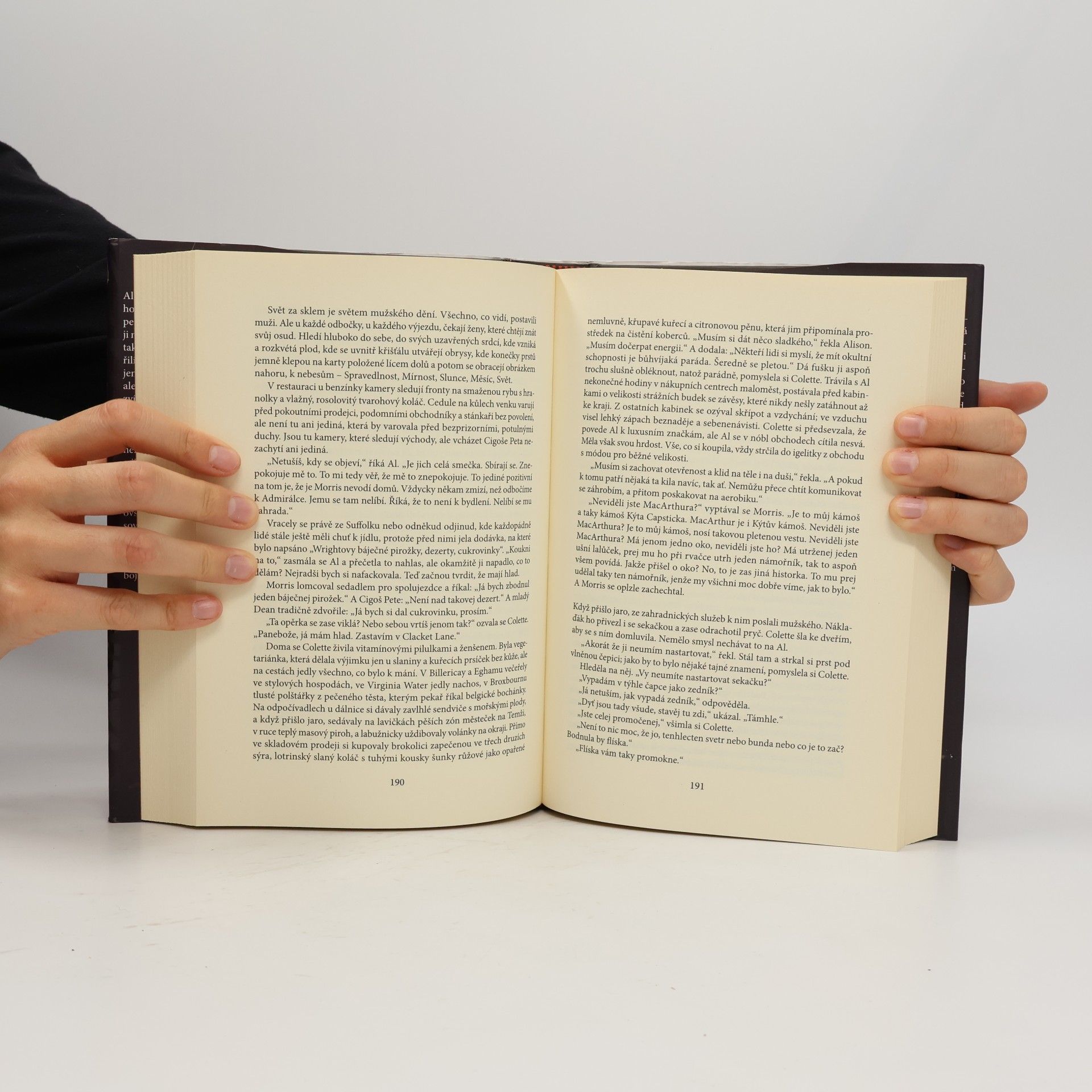 Hilary Mantel Za temnotou