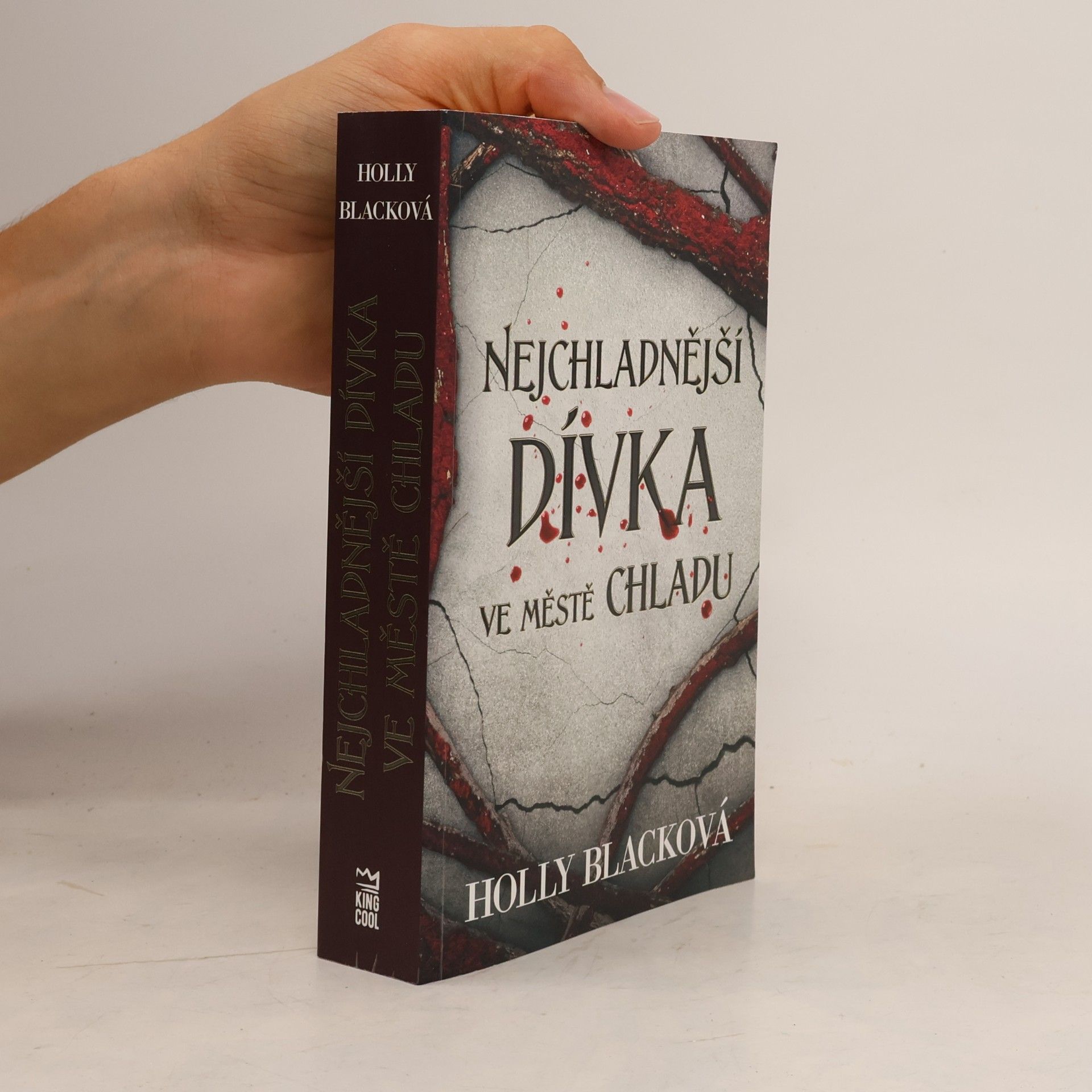 Holly Black Nejchladnější dívka ve městě chladu
