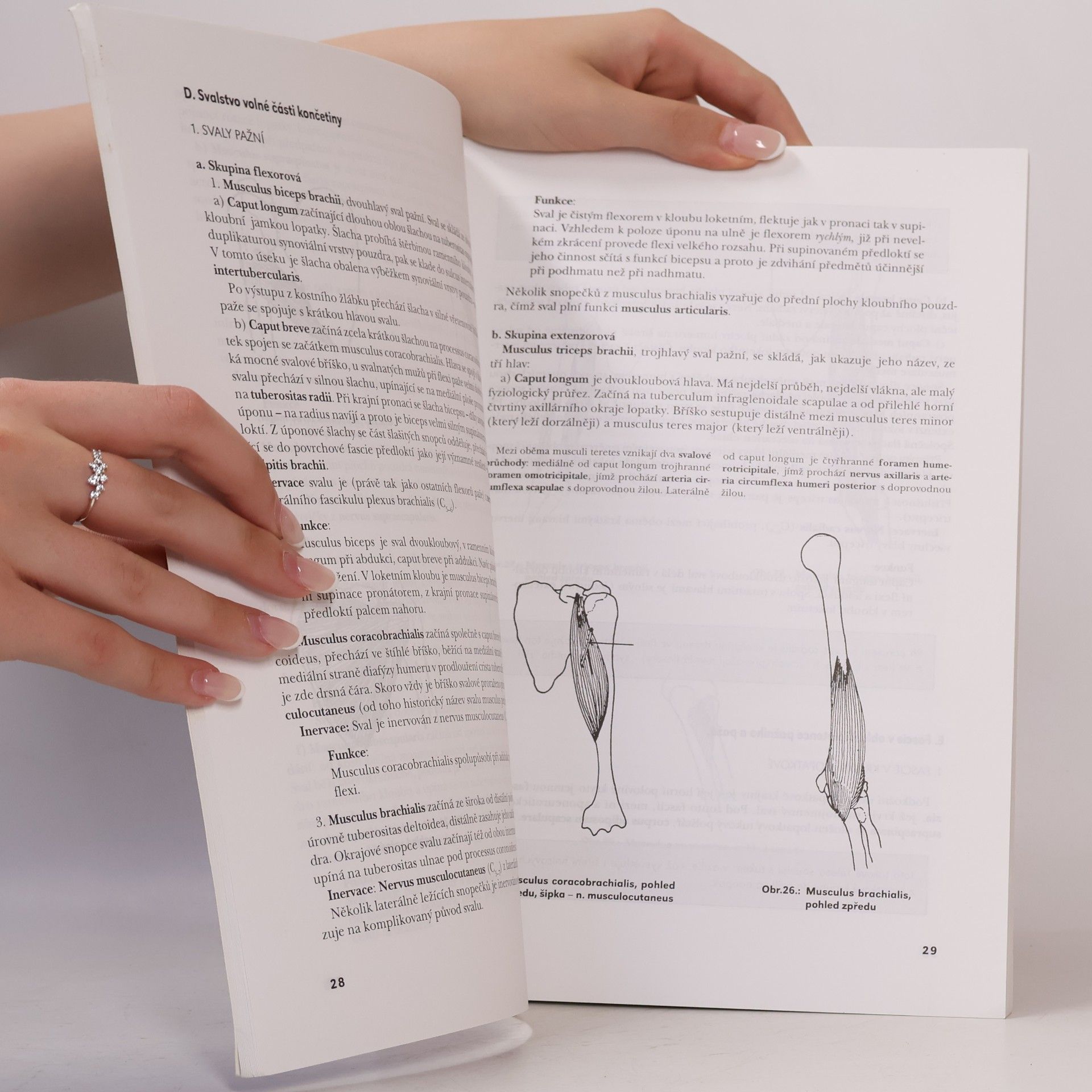 Olga Mrázková Systematická, topografická a klinická anatomie II. Pohybový aparát končetin