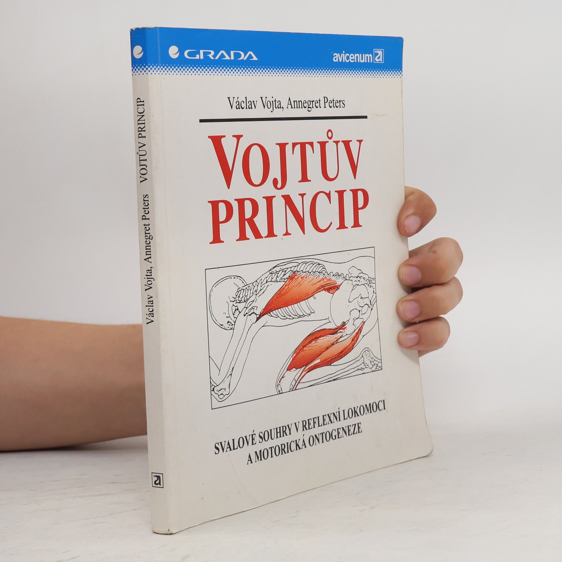 Václav Vojta Vojtův princip