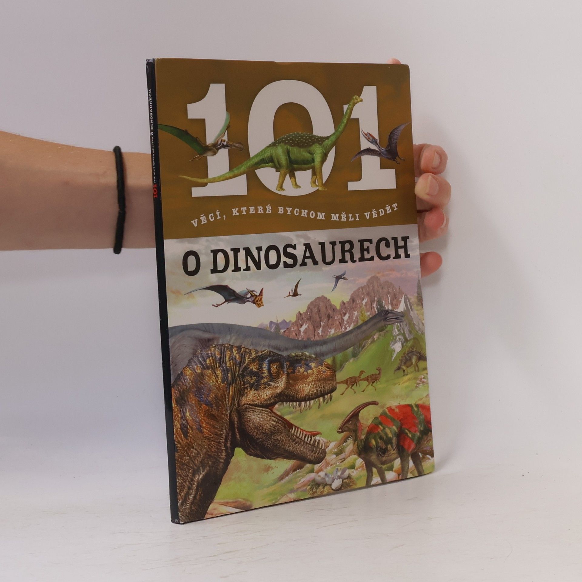 Autorenkollektiv 101 věcí, které bychom měli vědět o dinosaurech
