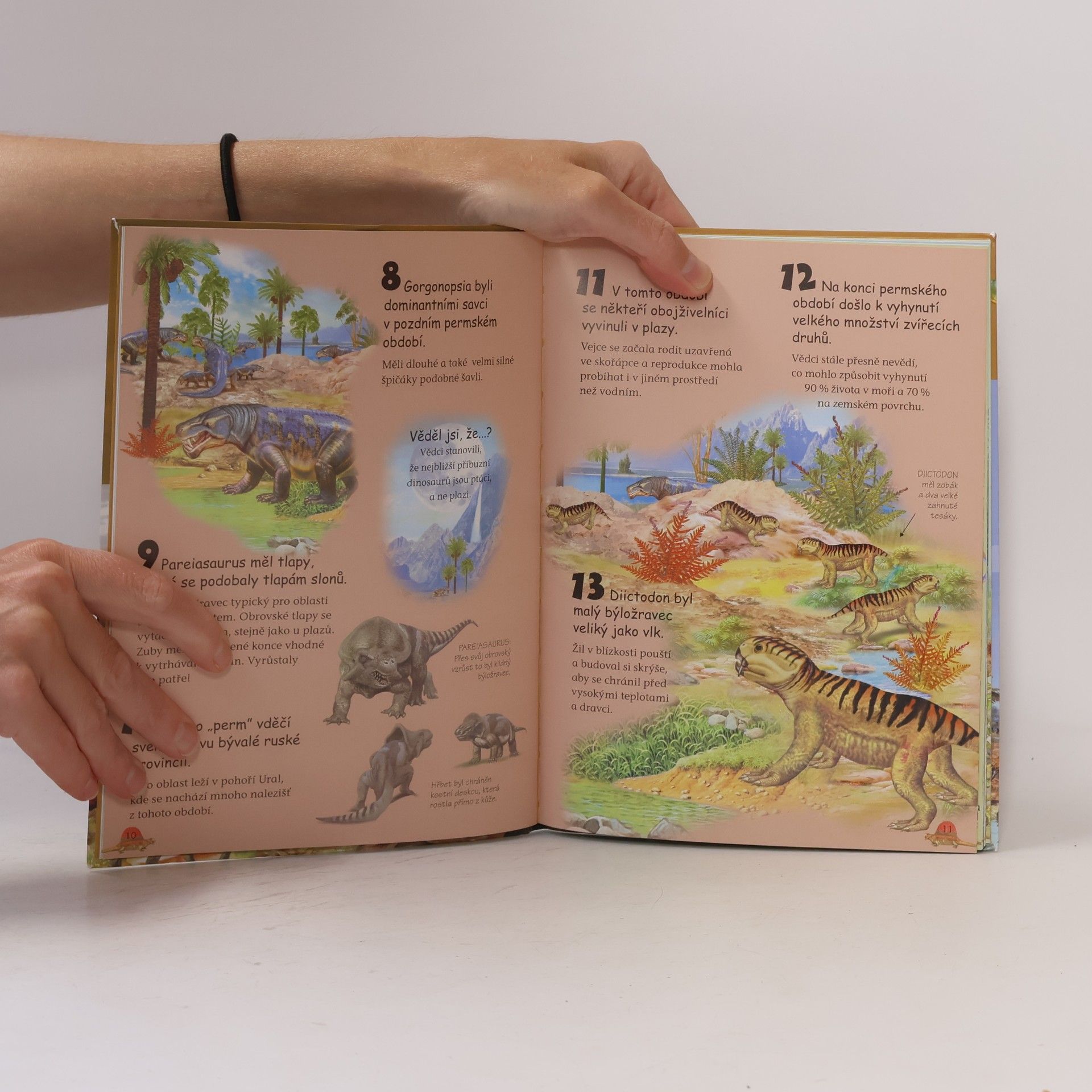 Kolektív autorov 101 věcí, které bychom měli vědět o dinosaurech