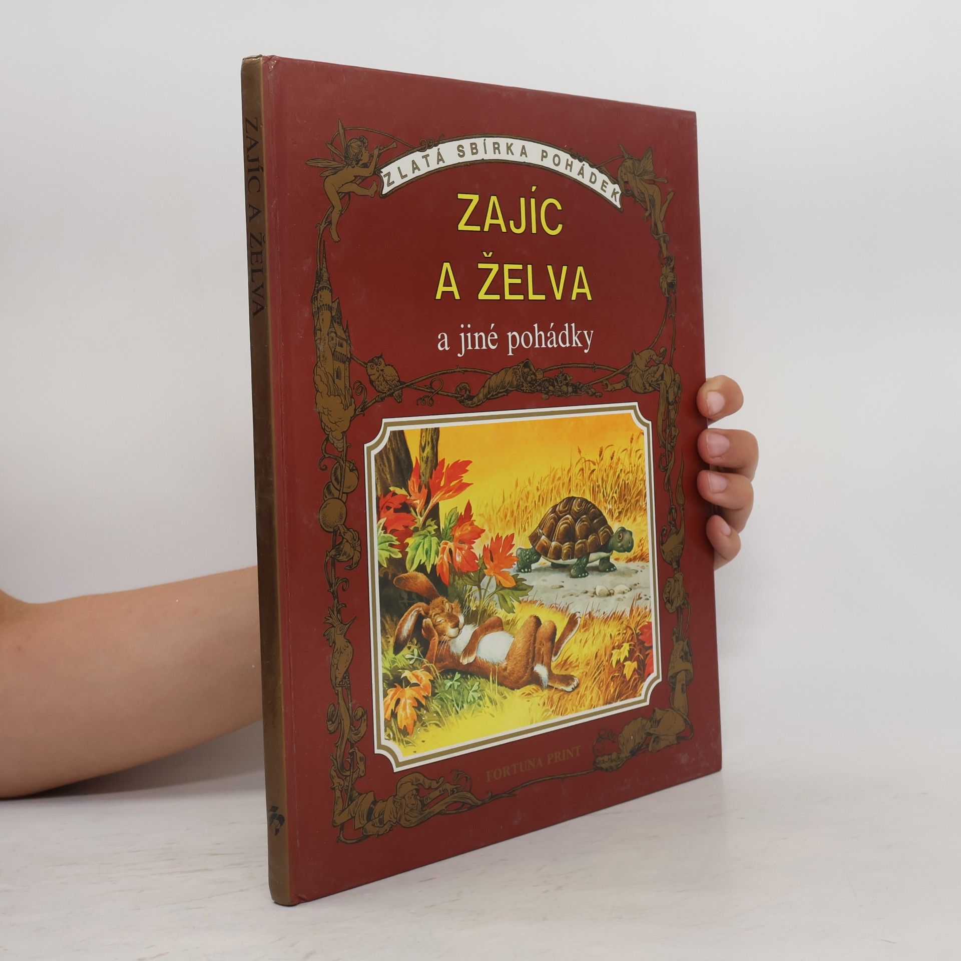 Autorenkollektiv Zajíc a želva a jiné pohádky