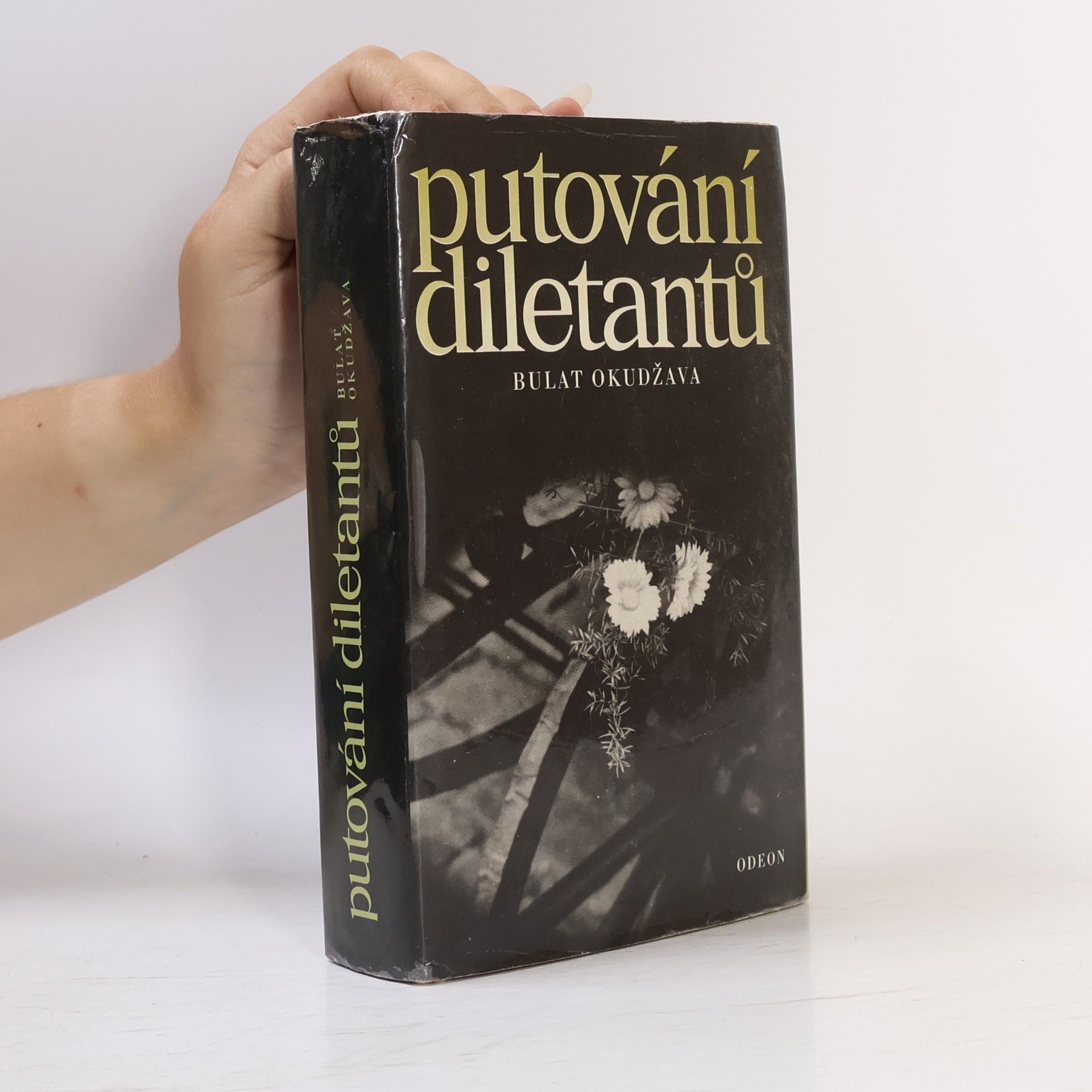 Putování diletantů