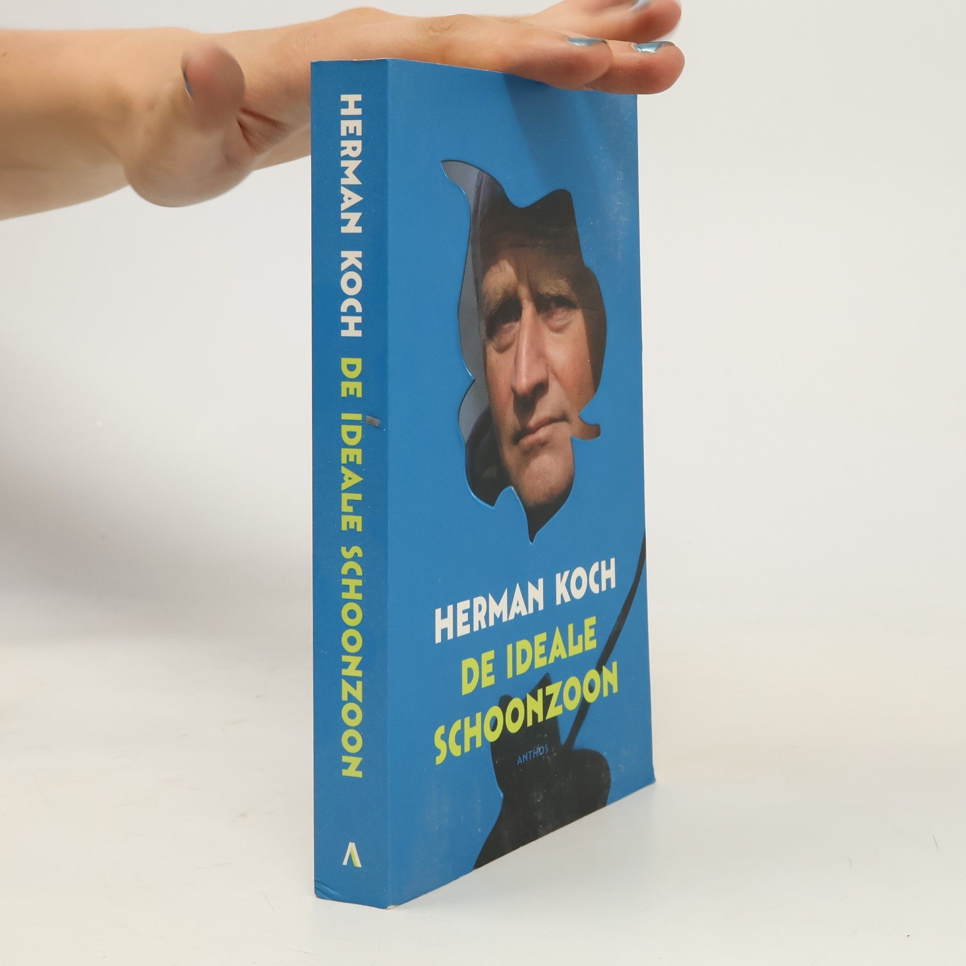 Herman Koch De ideale schoonzoon