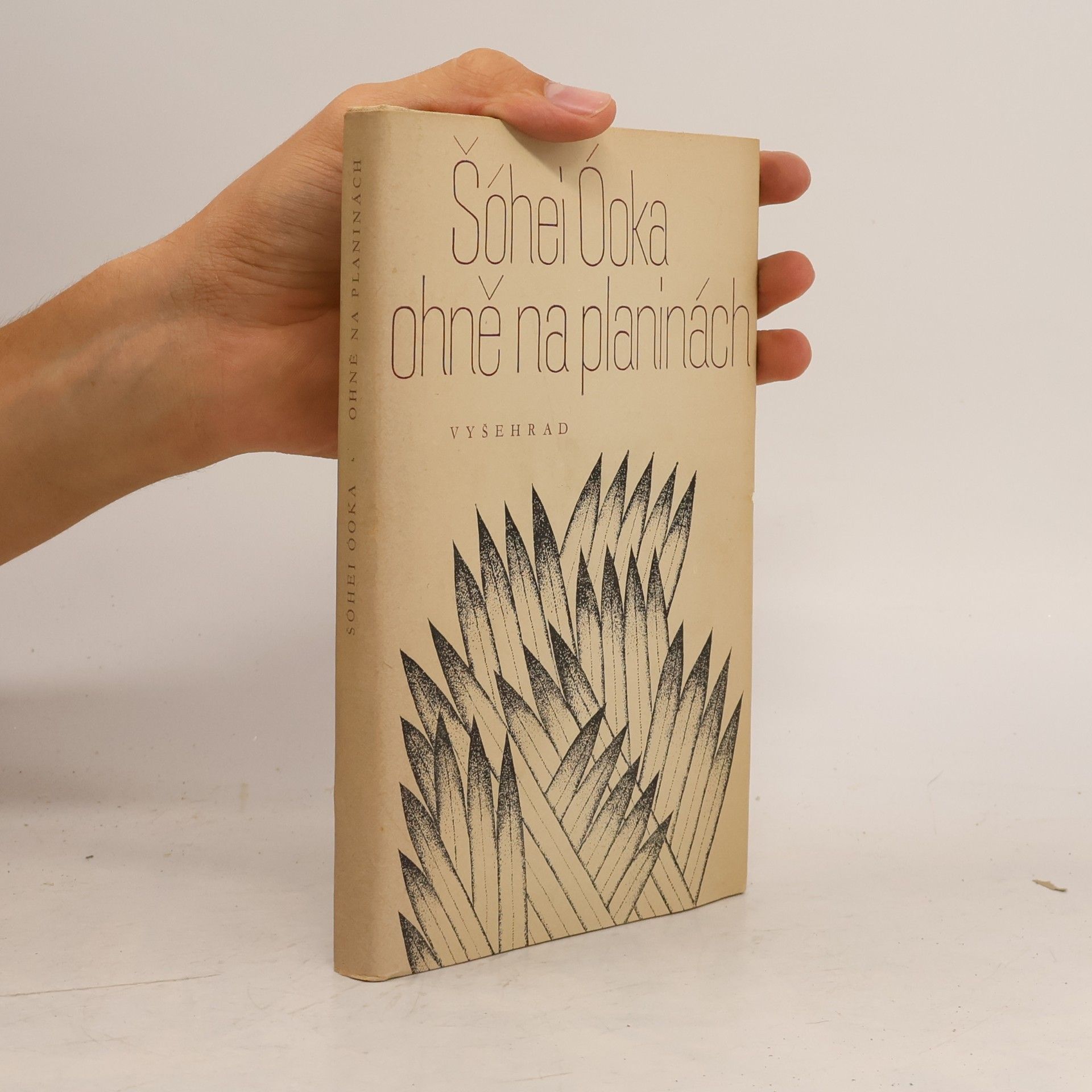 Shōhei Ōoka Ohně na planinách