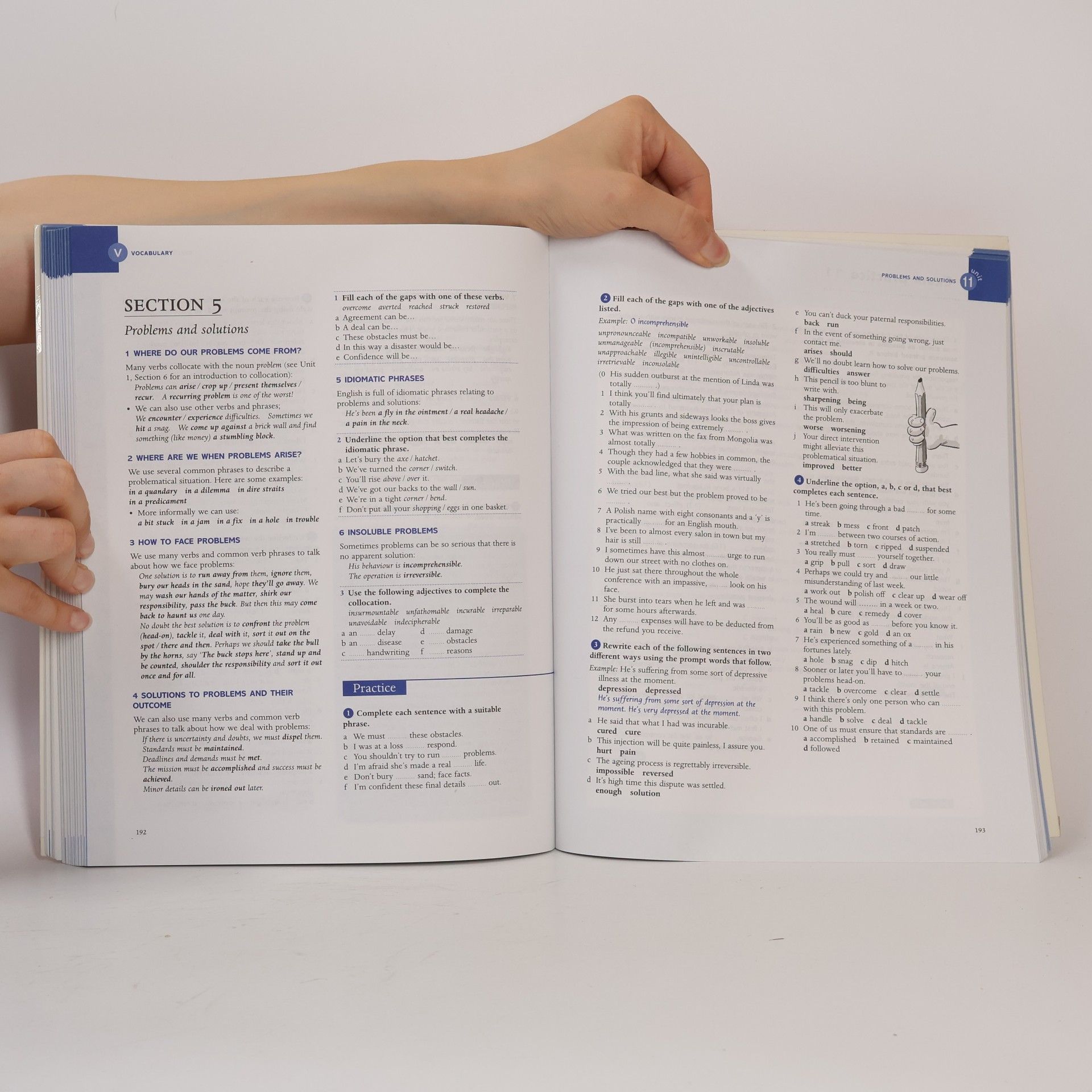 Various authors Grammar and vocabulary for Cambridge advanced and proficiency