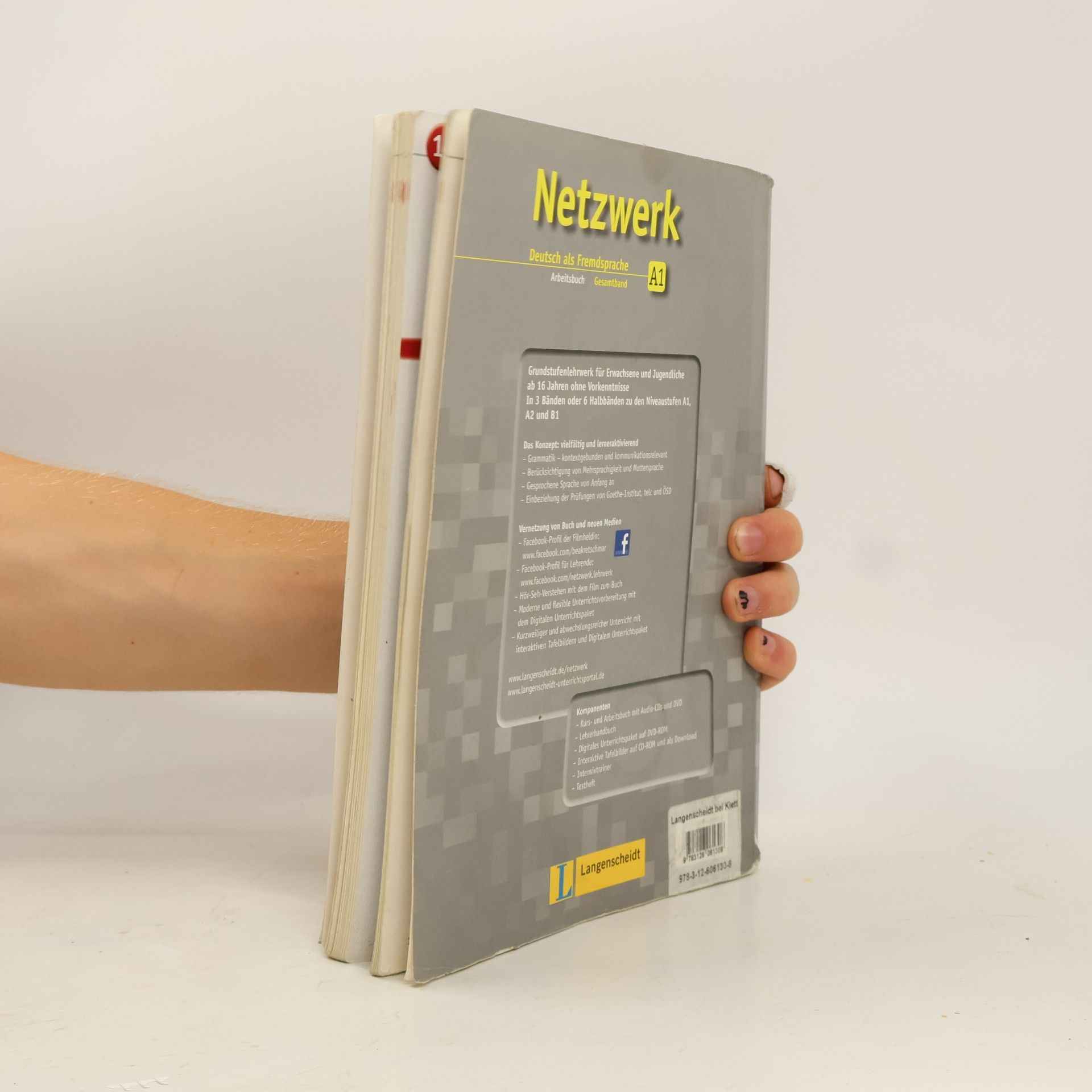 Stefanie Dengler Arbeitsbuch Gesamtband, m. 2 Audio-CDs