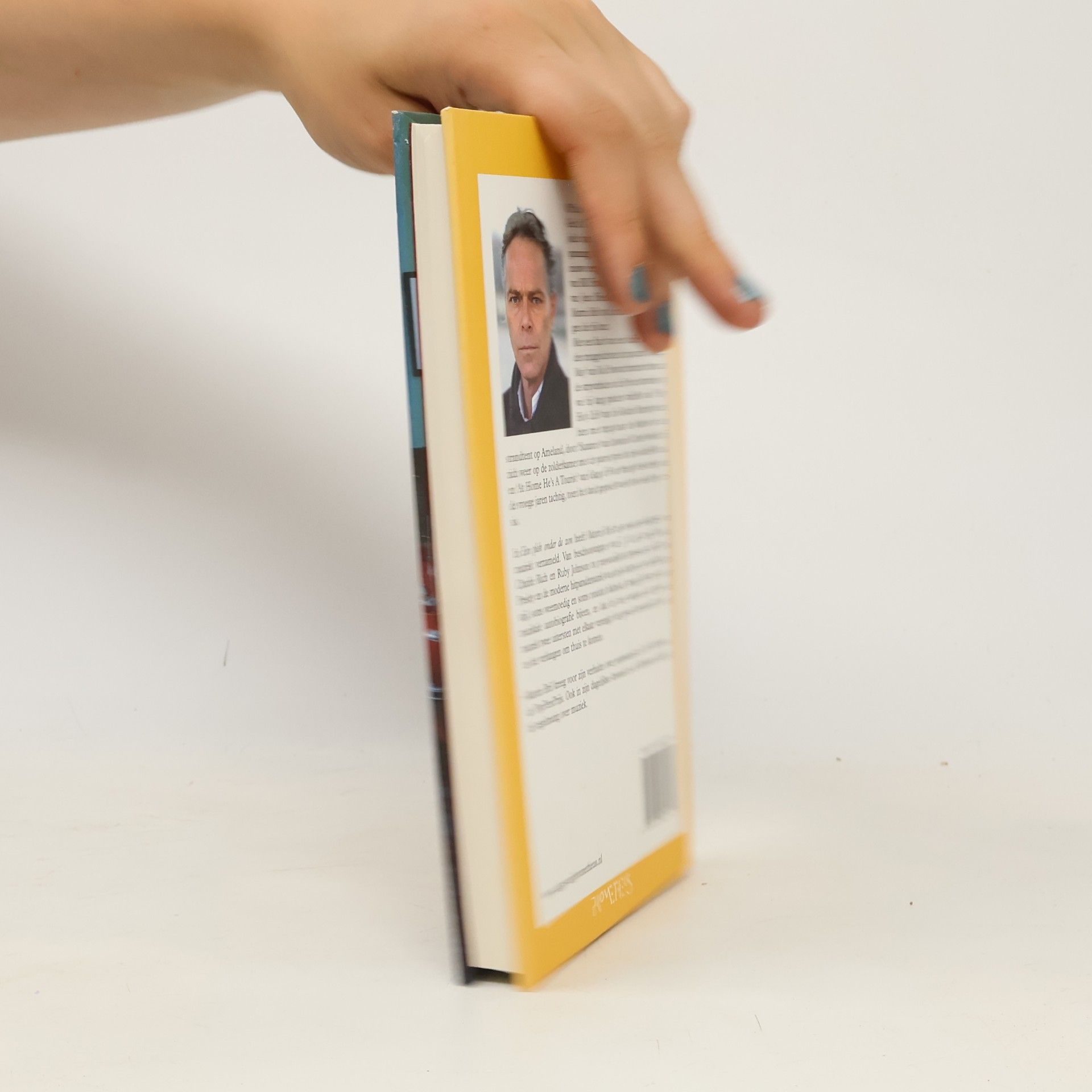 Martin H. Brillinger Een plek onder de zon