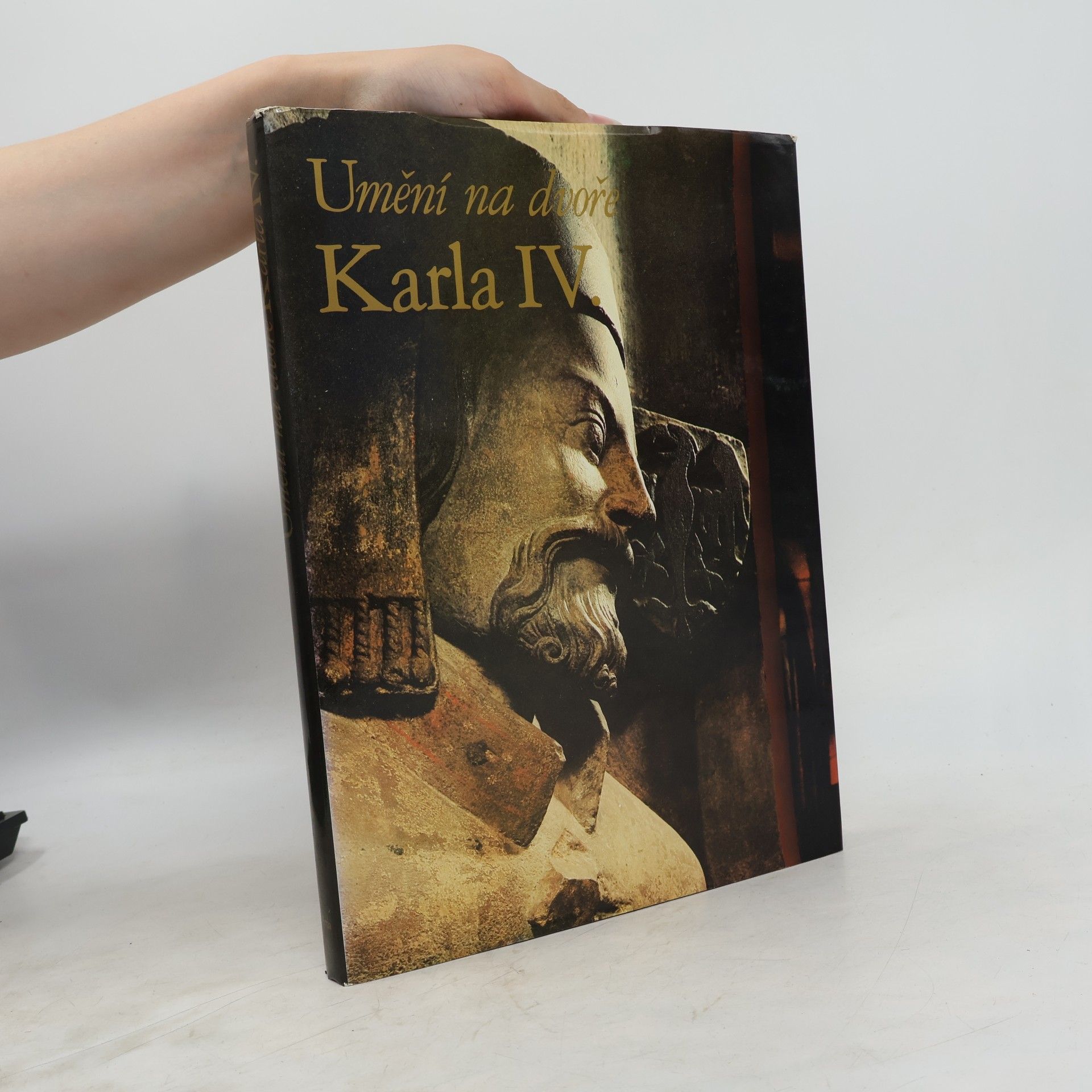 Karel Stejskal Umění na dvoře Karla IV.