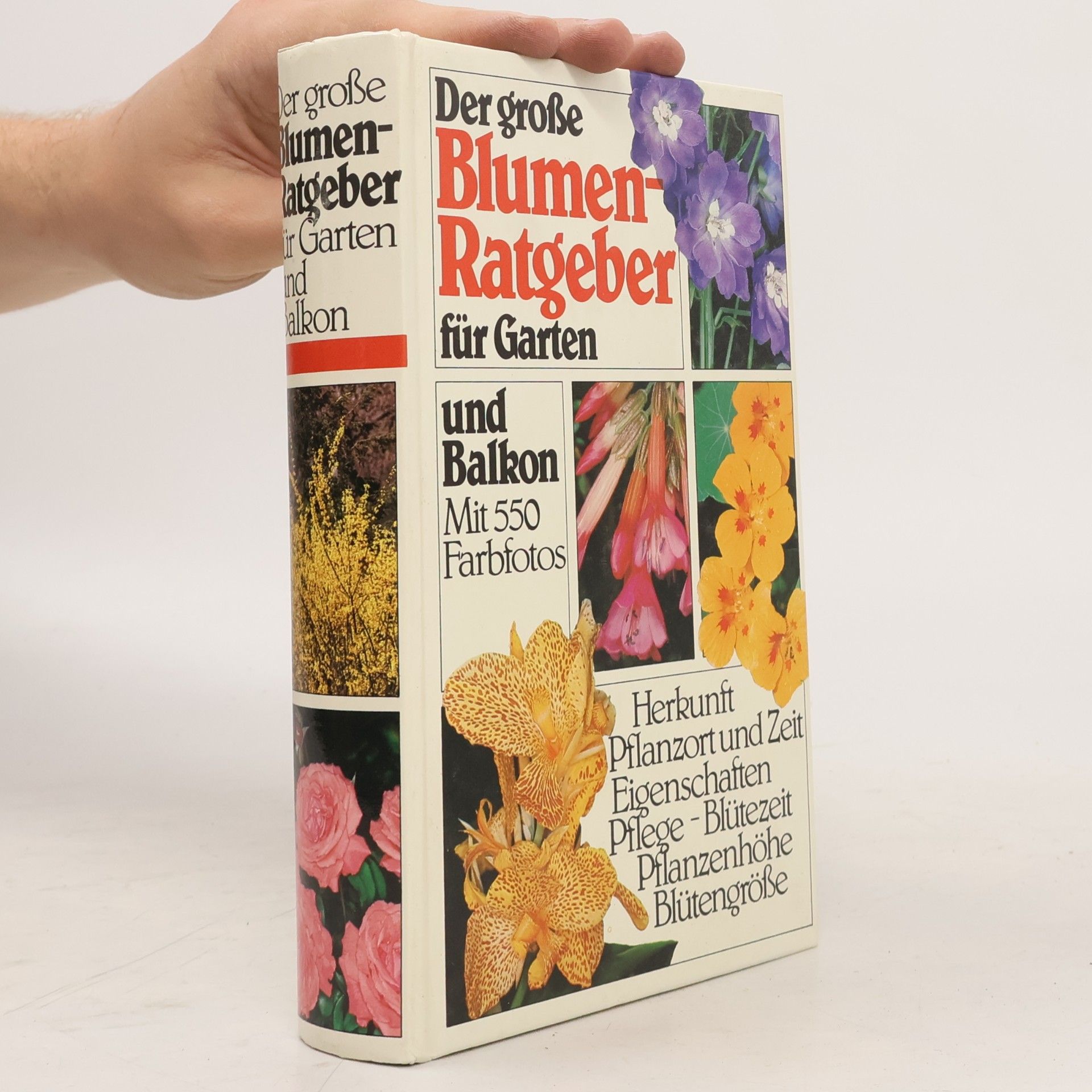 Guido Moggi Der große Blumen-Ratgeber für Garten und Balkon
