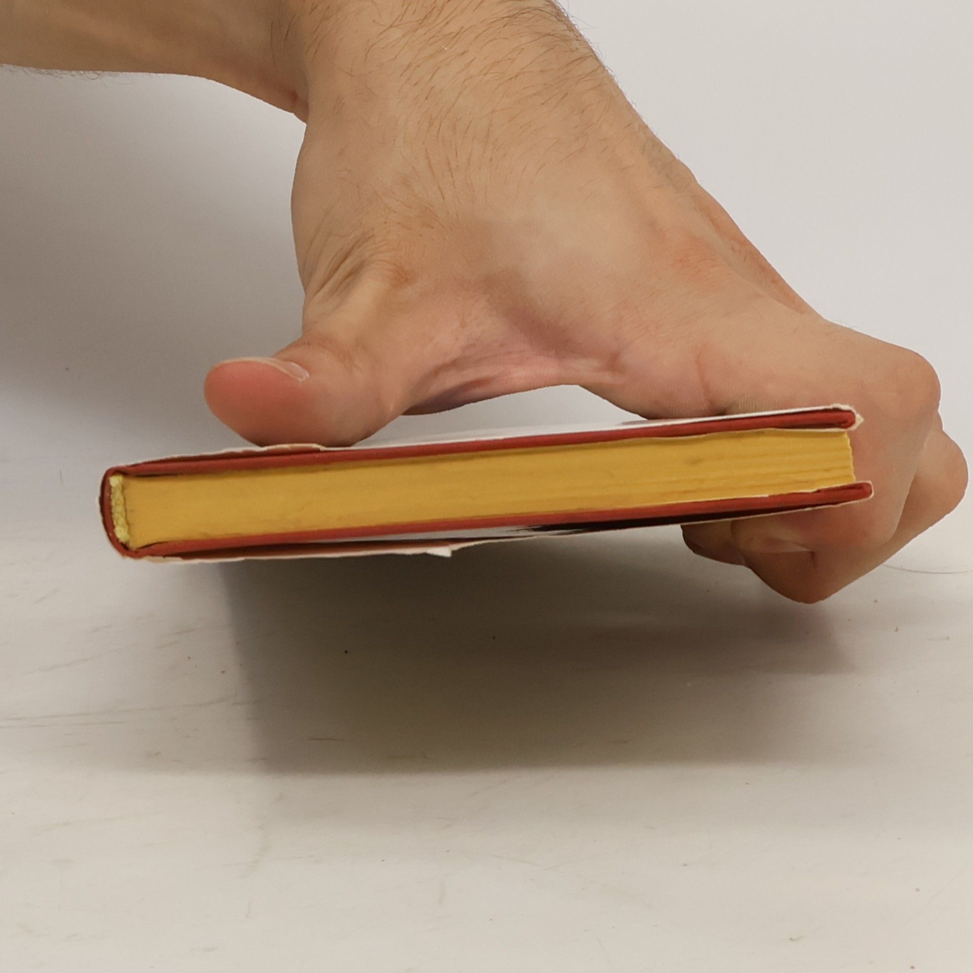 Autorenkollektiv Meines Herzens stille Glut