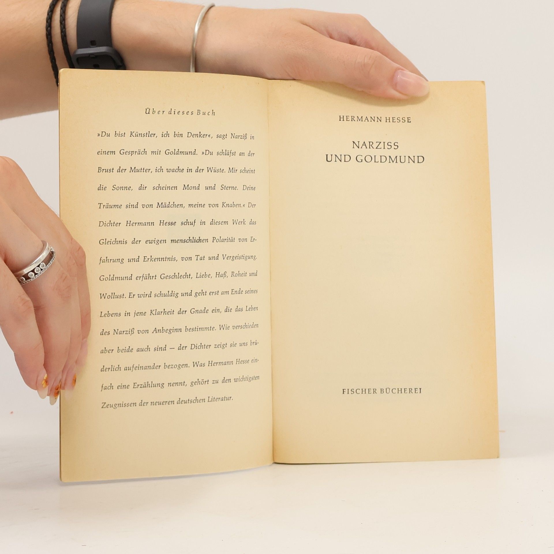 Hermann Hesse Narziss und Goldmund