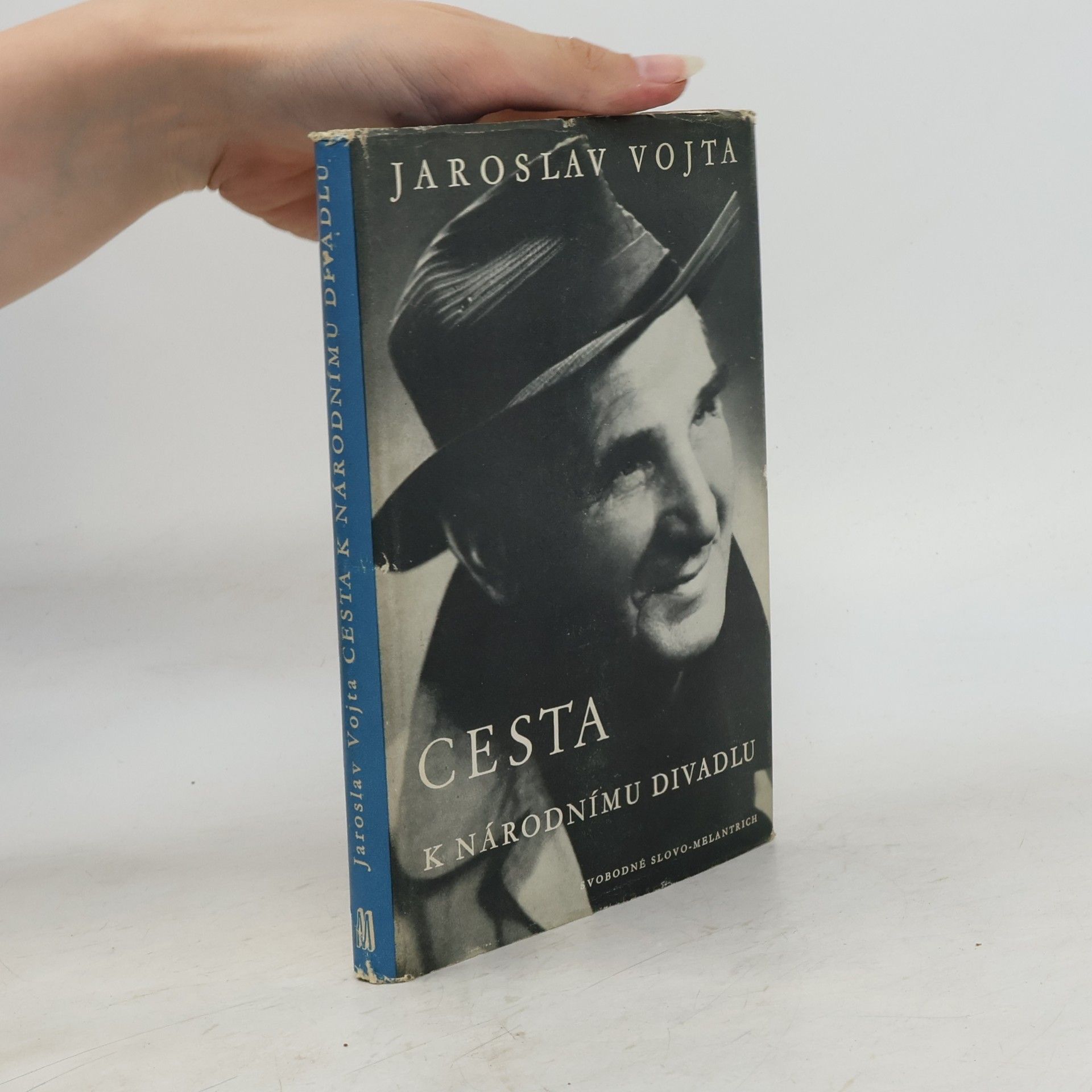 Jaroslav Vojta Cesta k Národnímu divadlu