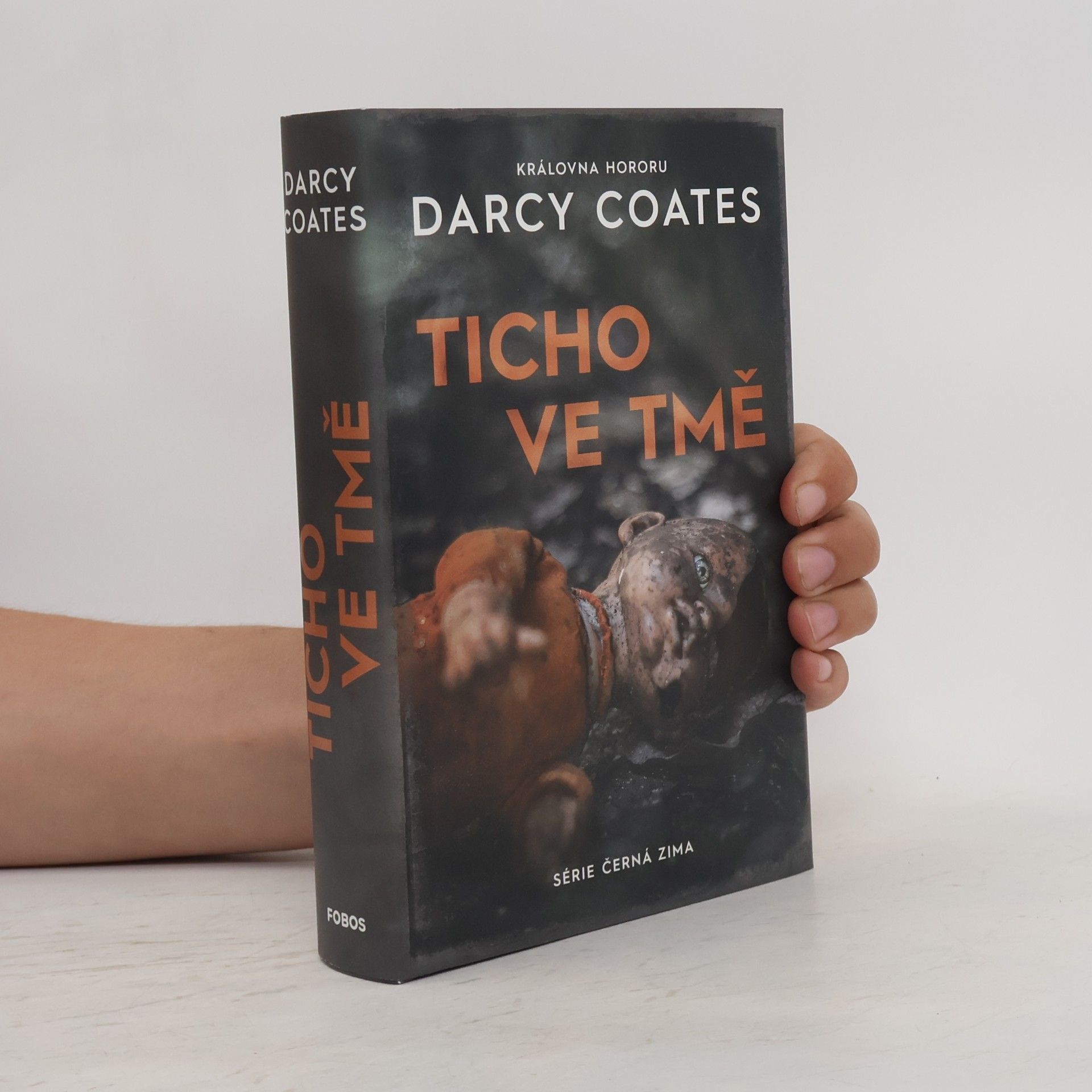 Darcy Coates Ticho ve tmě