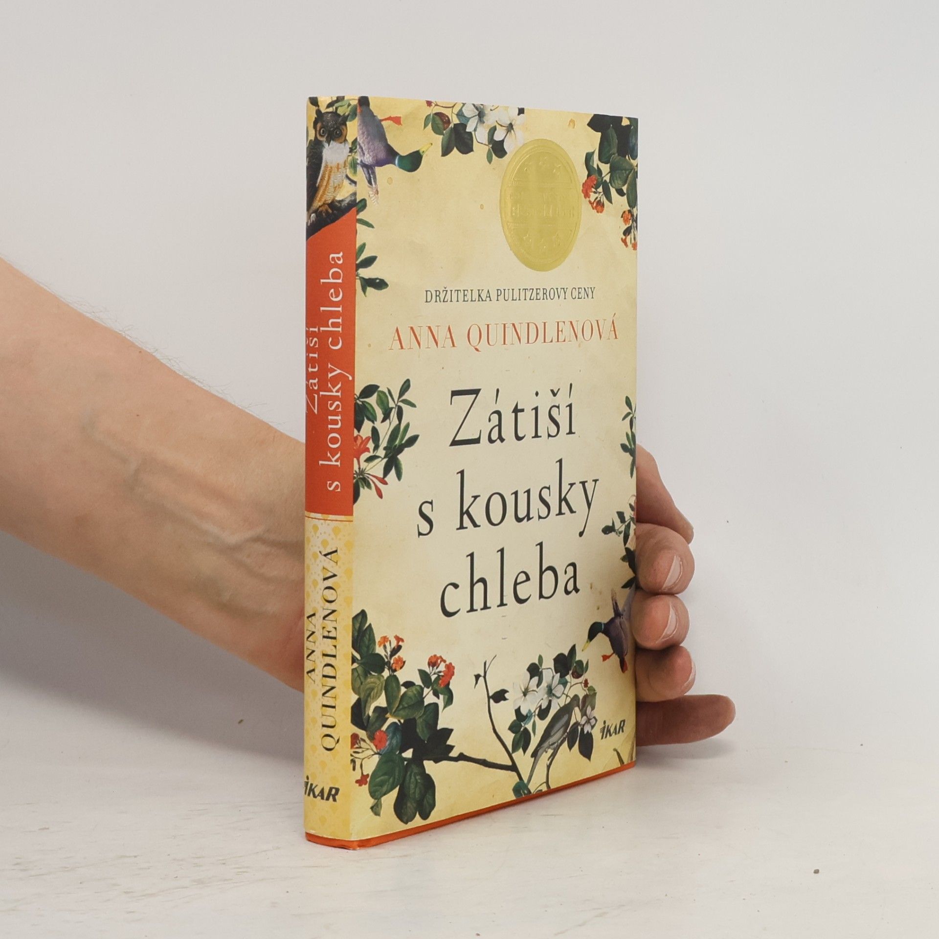 Anna Quindlen Zátiší s kousky chleba