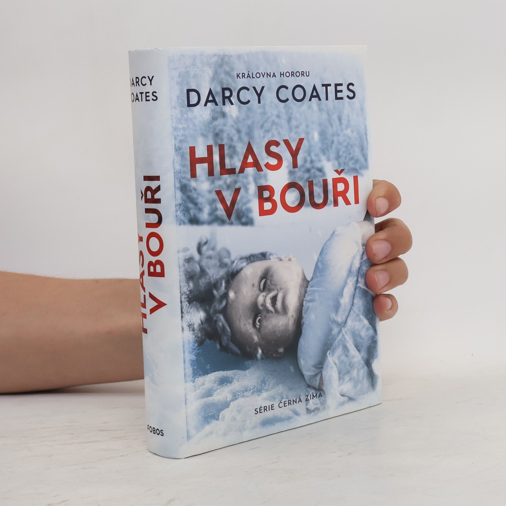 Darcy Coates Hlasy v bouři