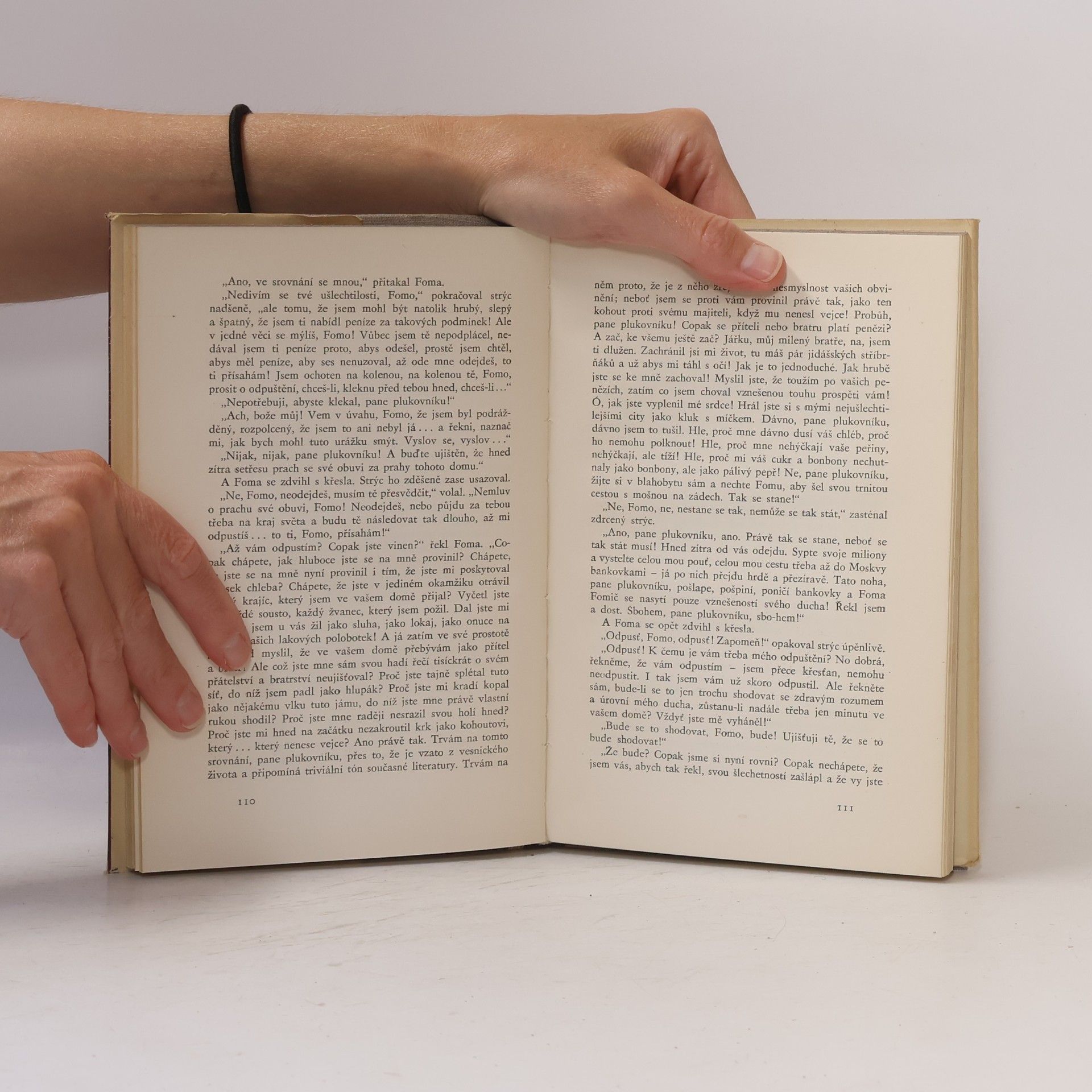 Fyodor Dostoyevsky Ves Štépančikovo a její obyvatelé