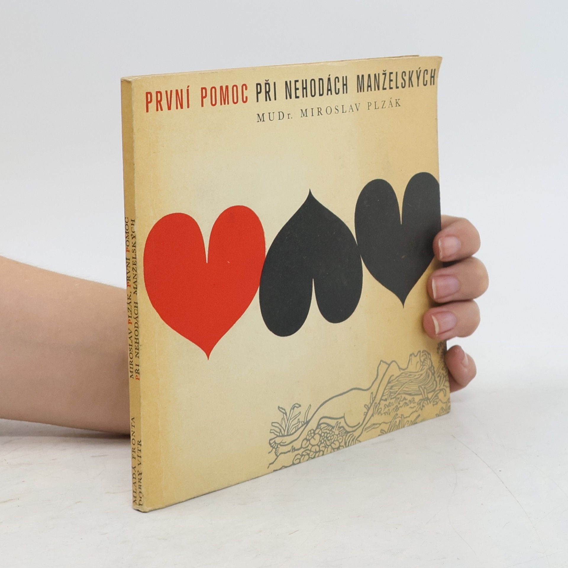 Miroslav Plzák První pomoc při nehodách manželských