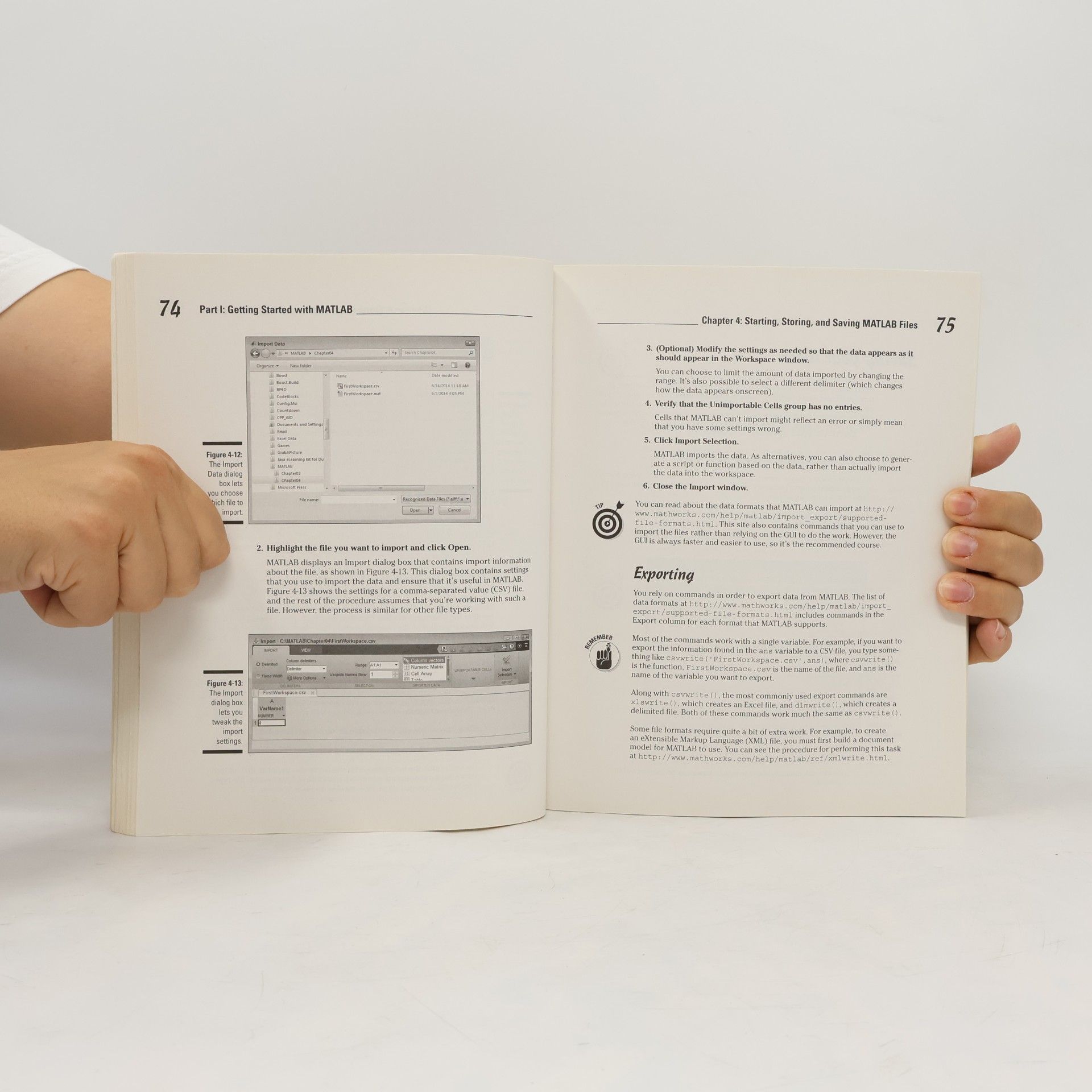 Jim Sizemore MATLAB For Dummies