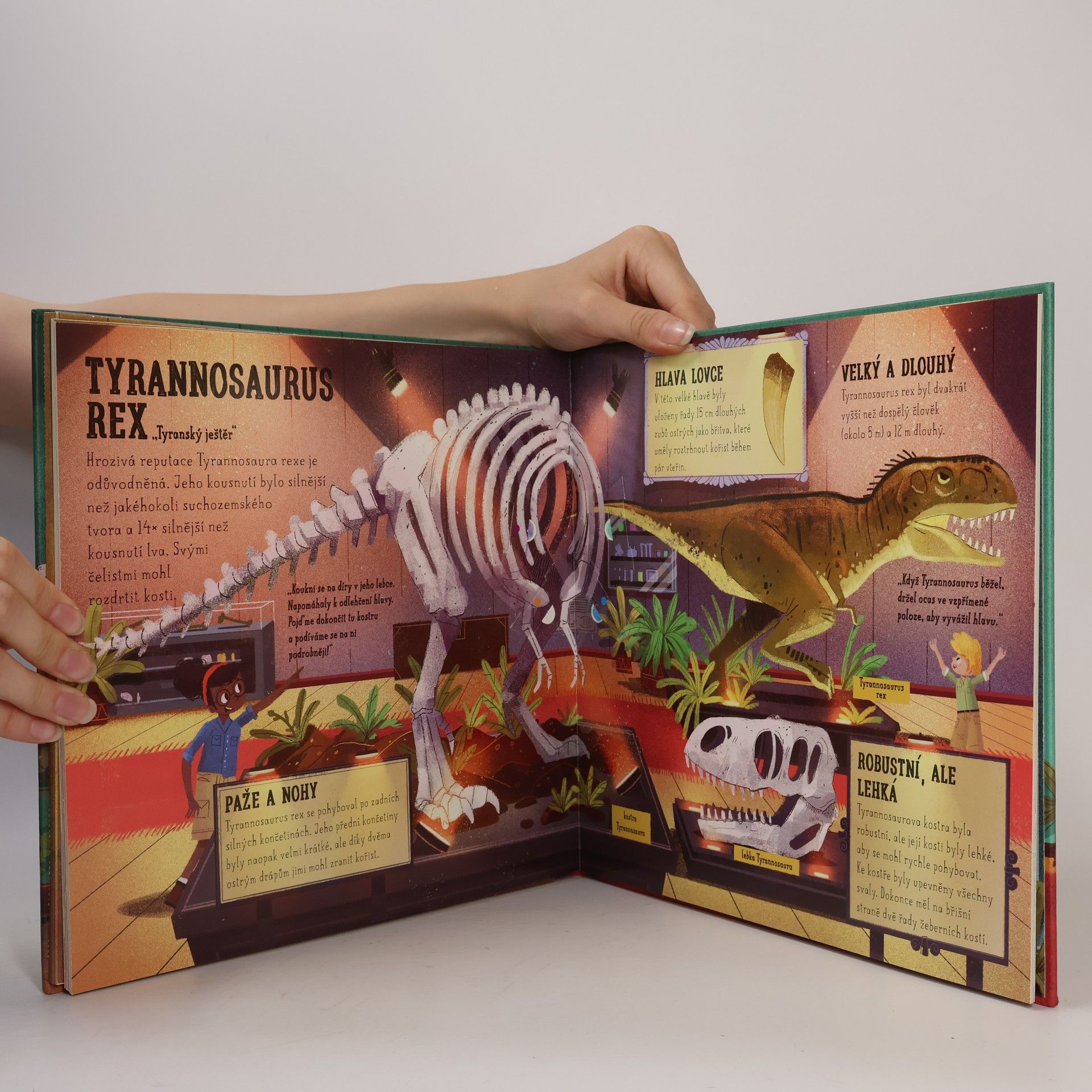 Jenny Jacoby Postav si vlastní dinosauří muzeum