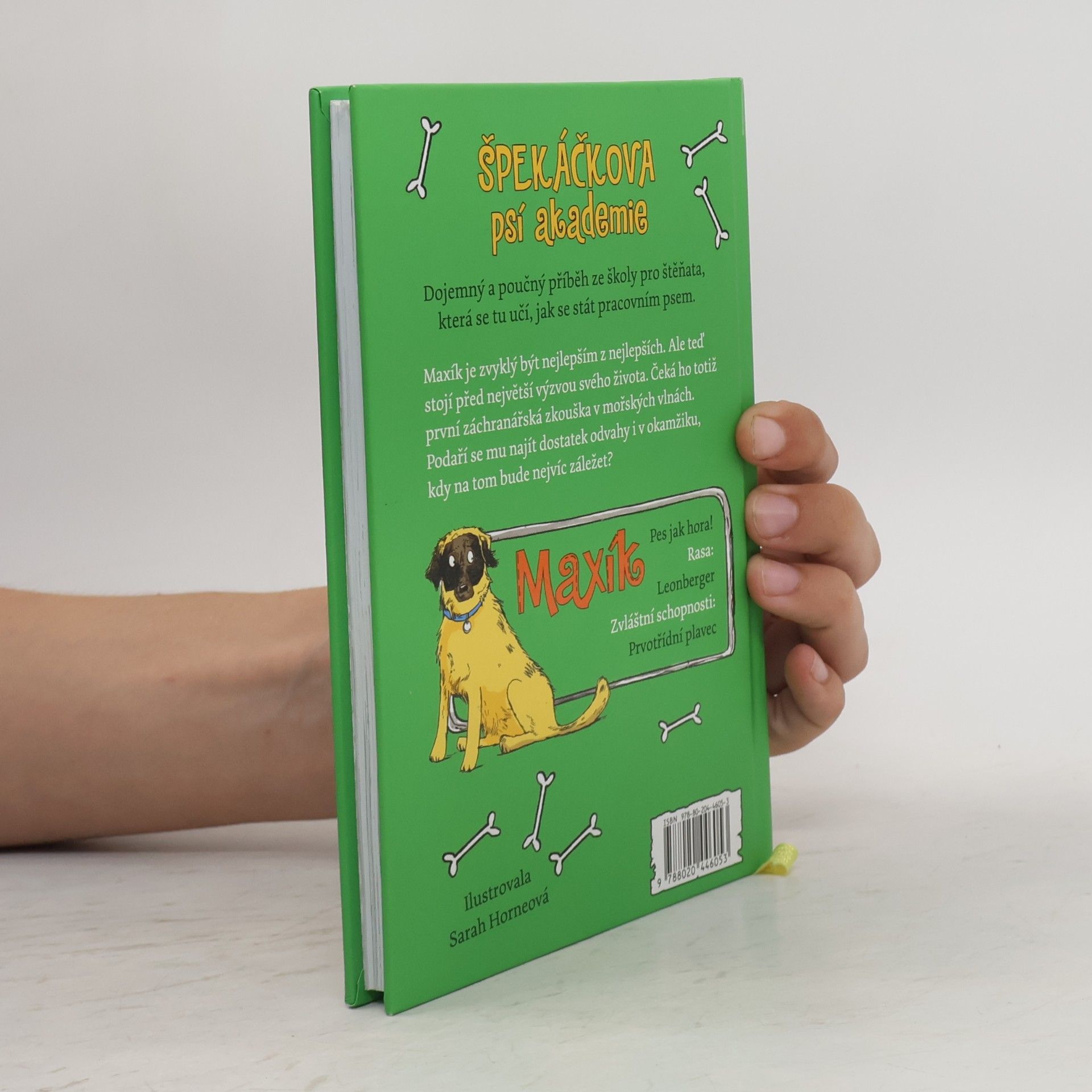 Gill Lewis Maxík a záchrana ve vlnách. Špekáčkova psí akademie 4