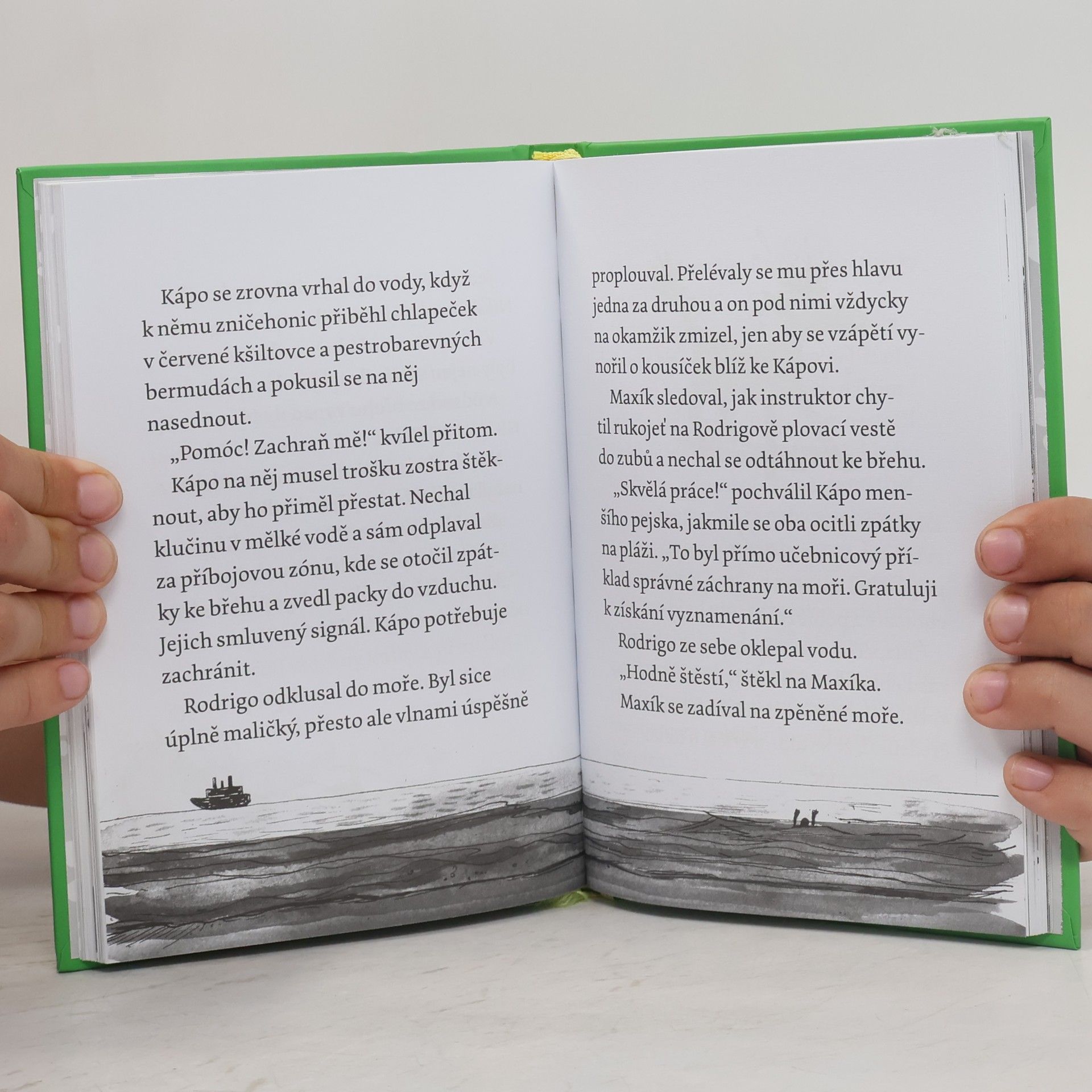 Gill Lewis Maxík a záchrana ve vlnách. Špekáčkova psí akademie 4