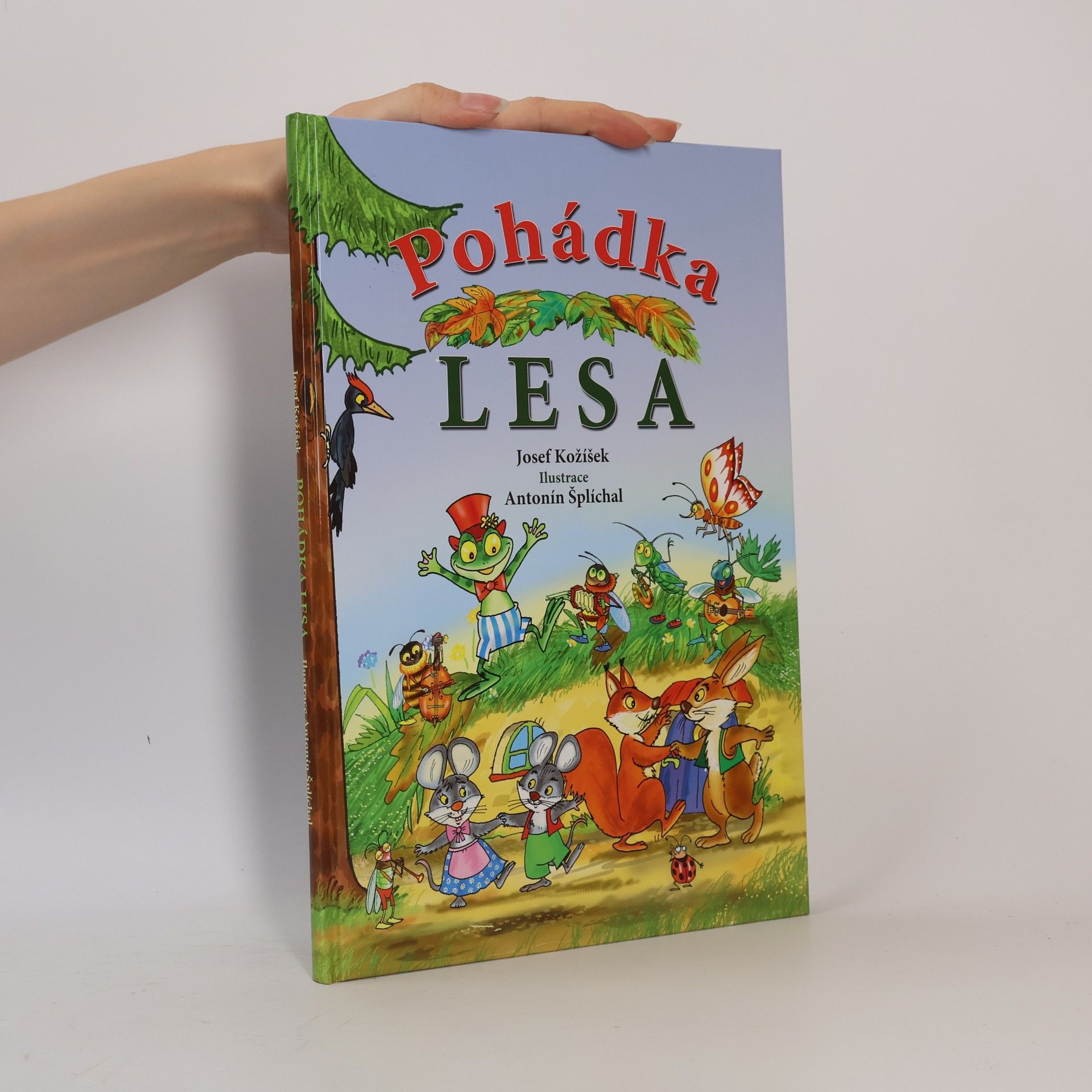 Pohádka lesa