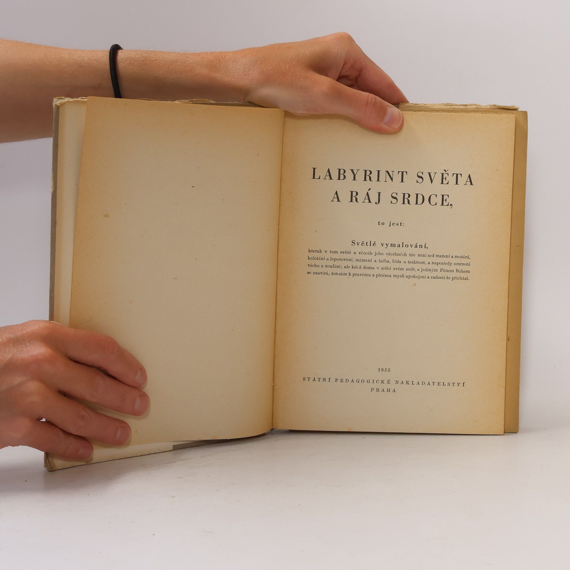 Jan Amos Komenský Labyrint světa a ráj srdce