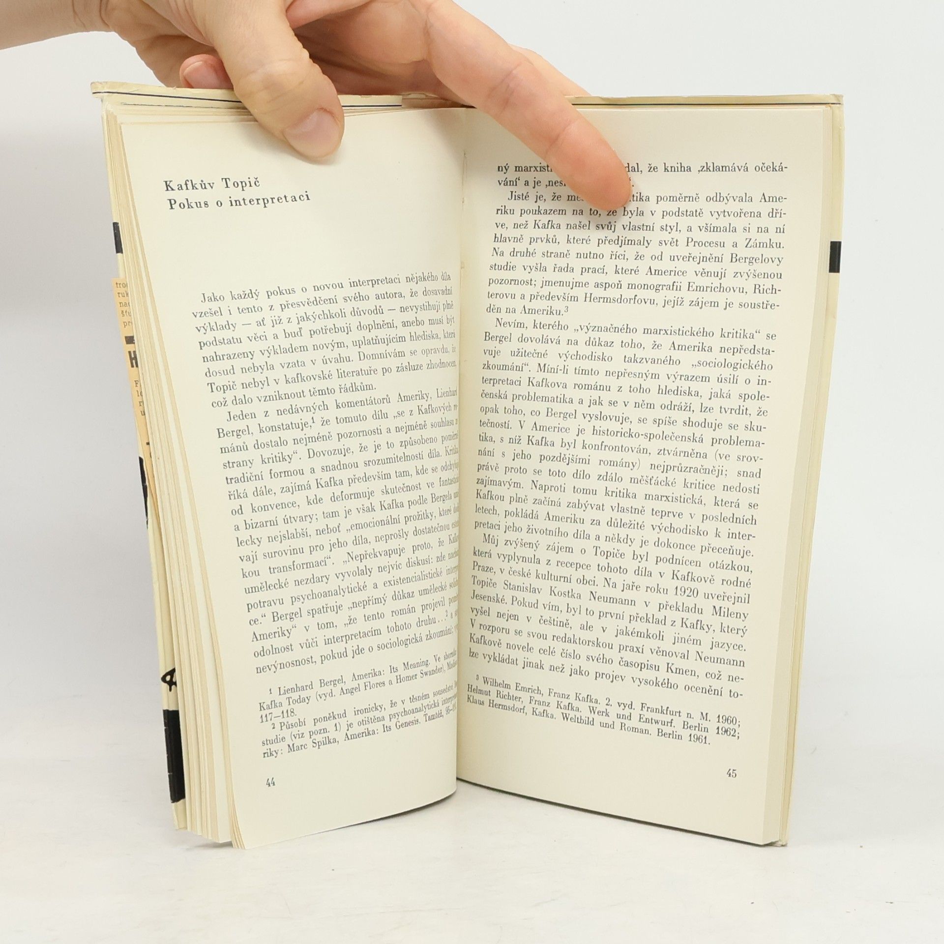 Eduard Goldstücker Na téma Franz Kafka