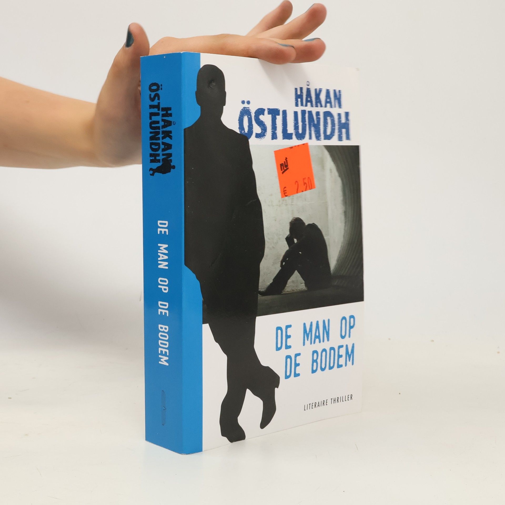 Håkan Östlundh De man op de bodem