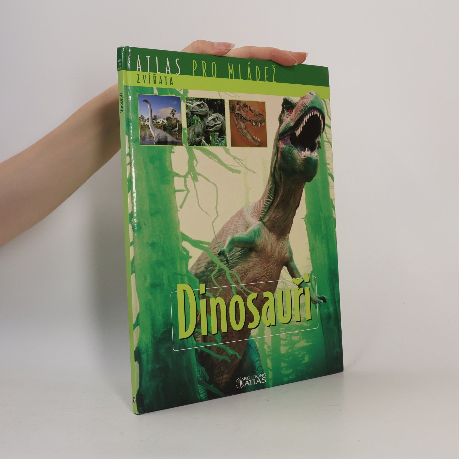 Autorenkollektiv Dinosauři. Atlas pro mládež