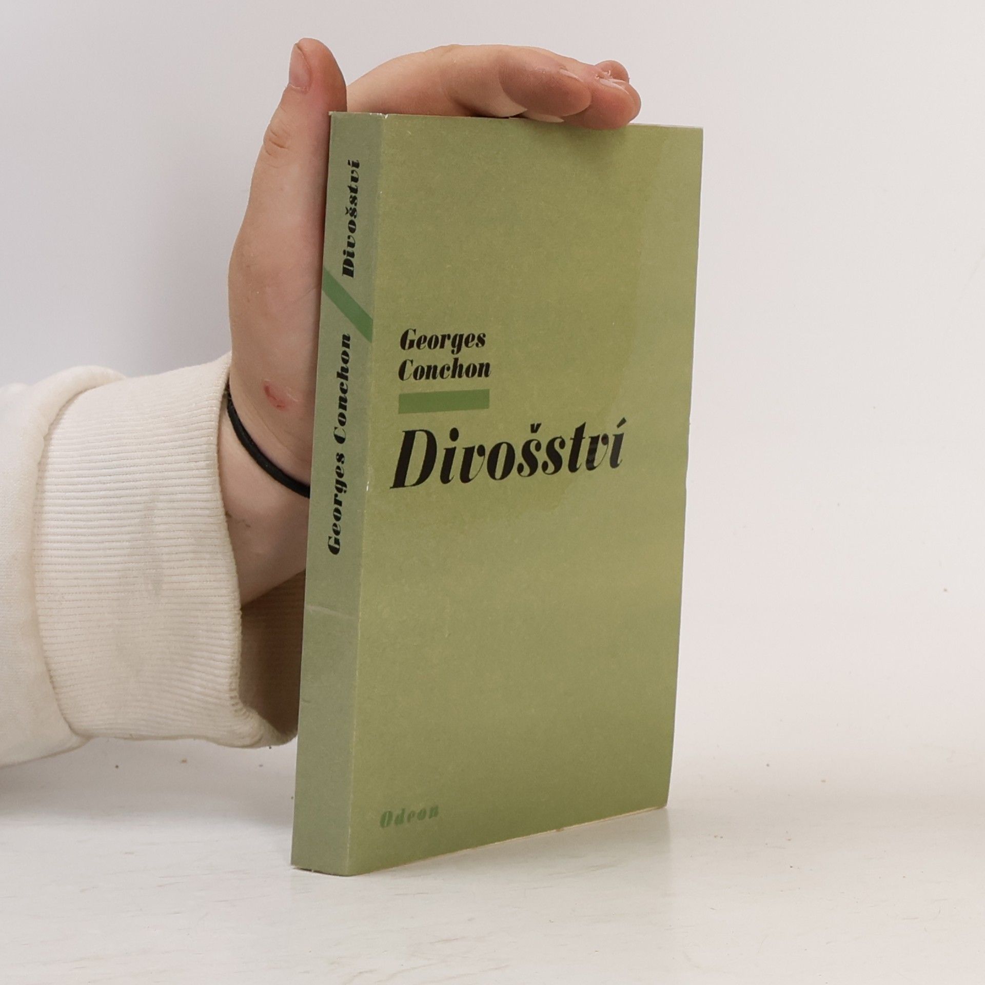 Divošství