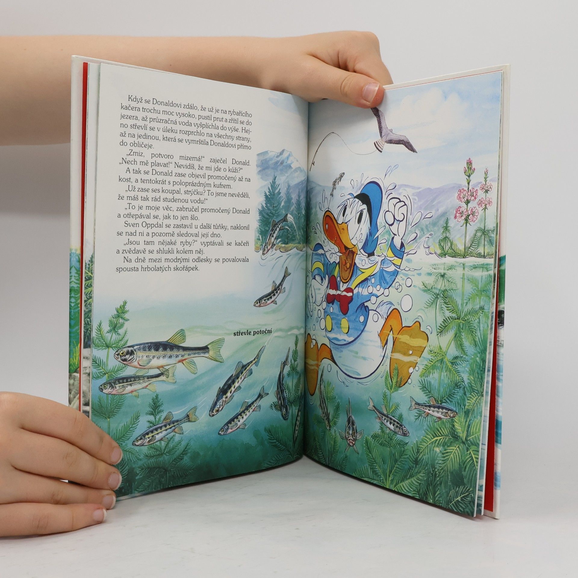 Walt Disney Cesty lososů