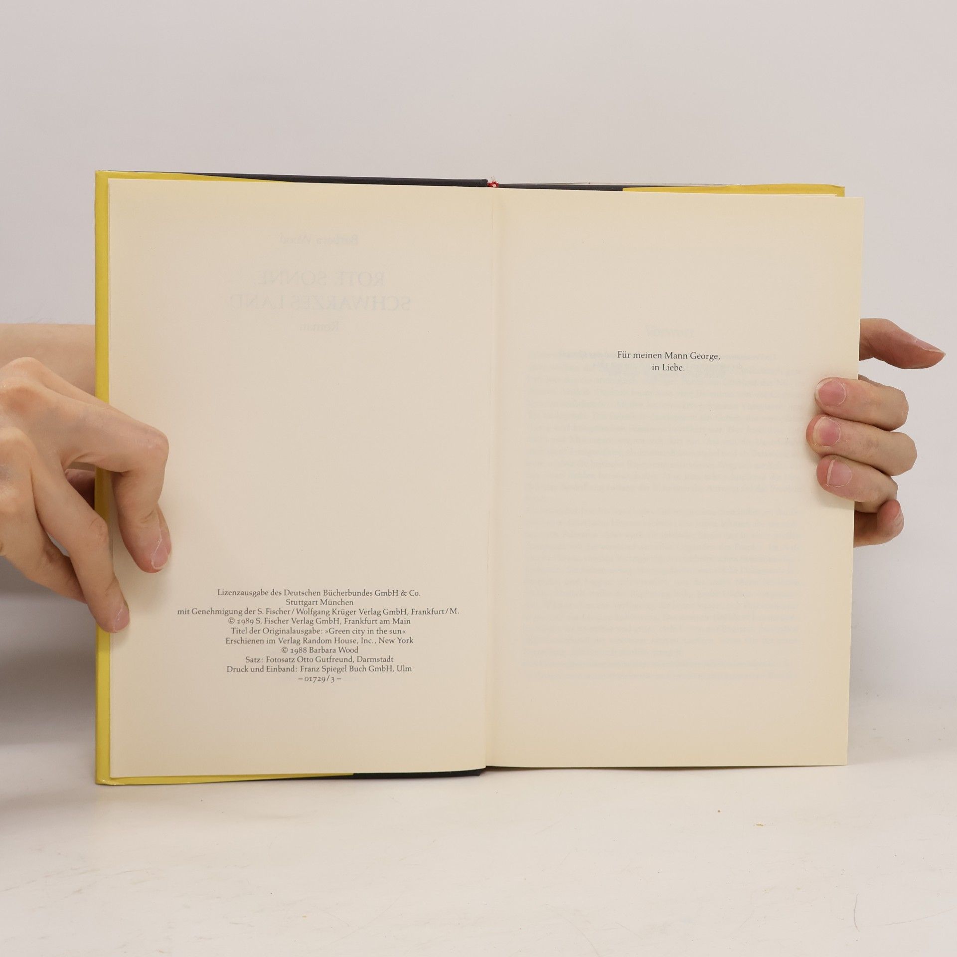 Barbara Wood Rote Sonne, schwarzes Land
