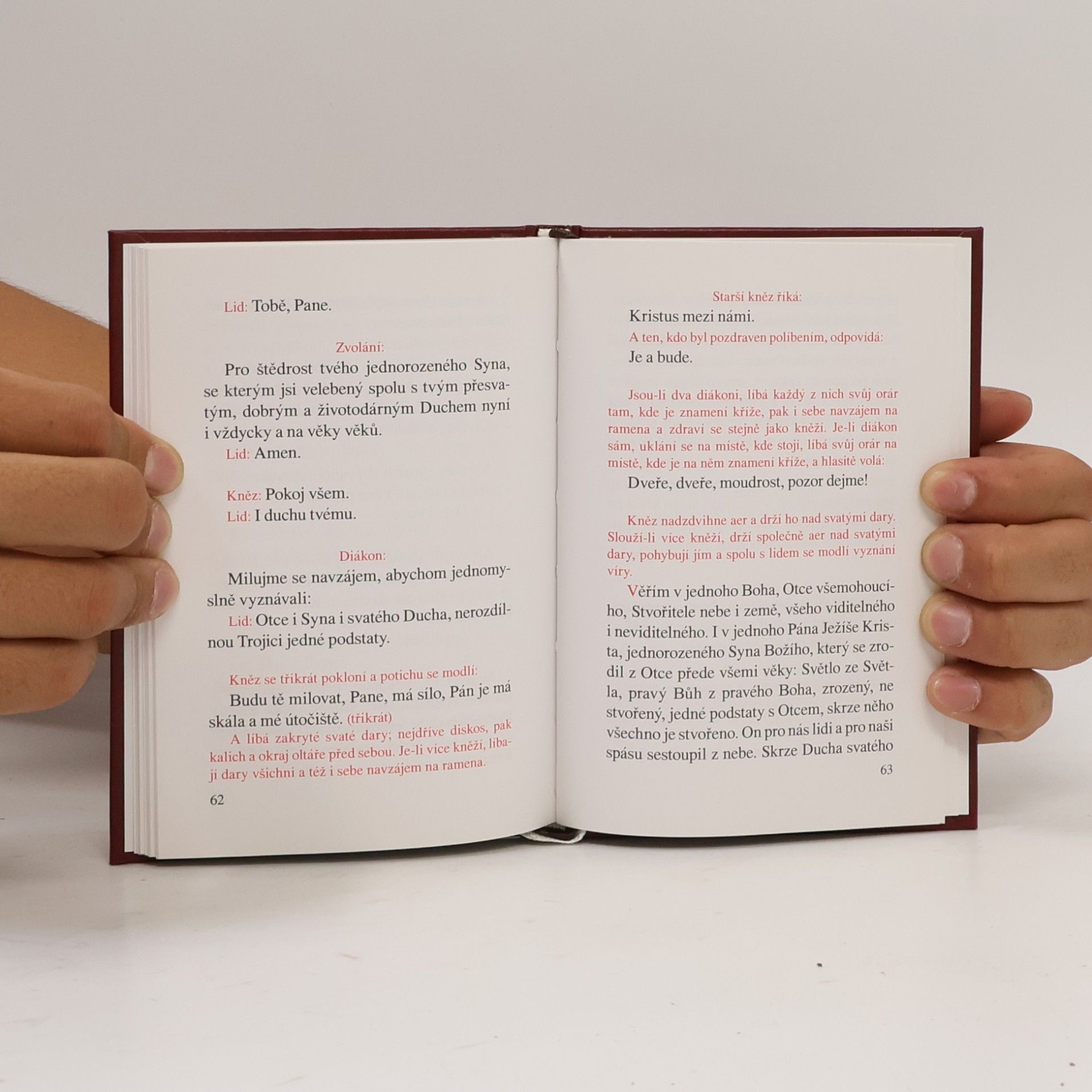 Autorenkollektiv Božská liturgie našeho svatého otce Jana Zlatoústého