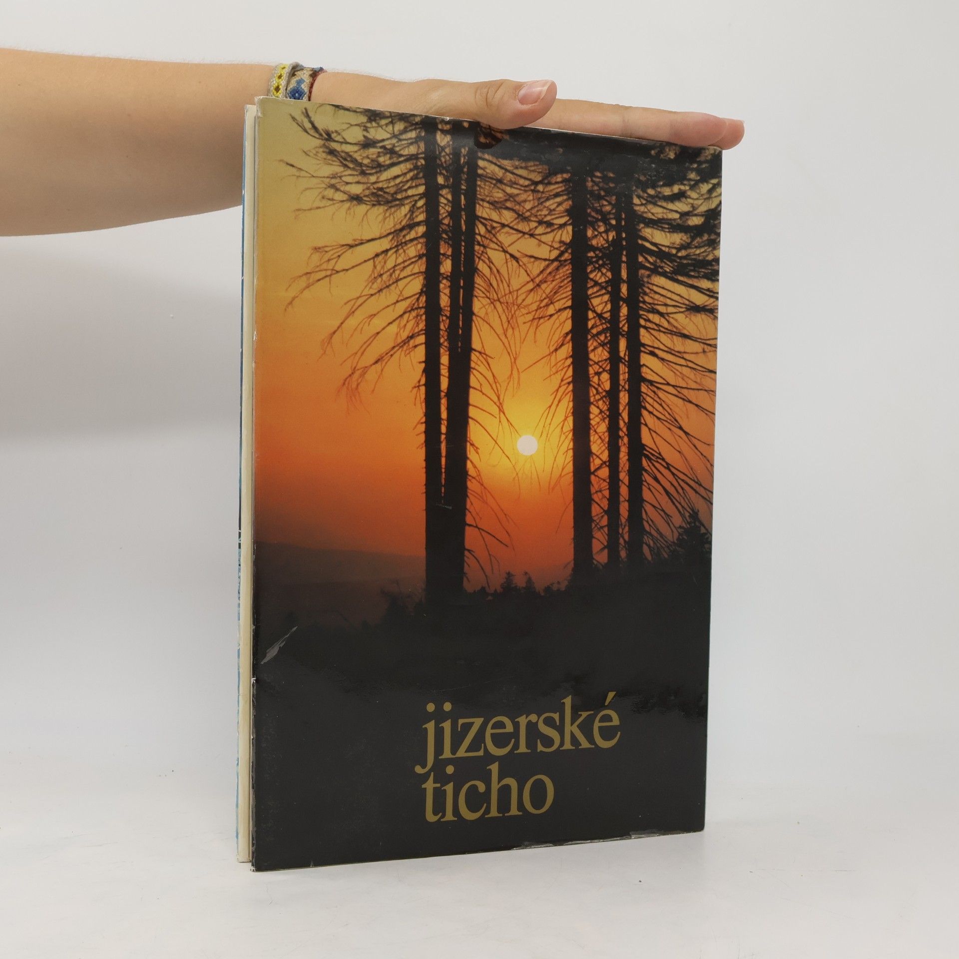 Autorenkollektiv Jizerské ticho