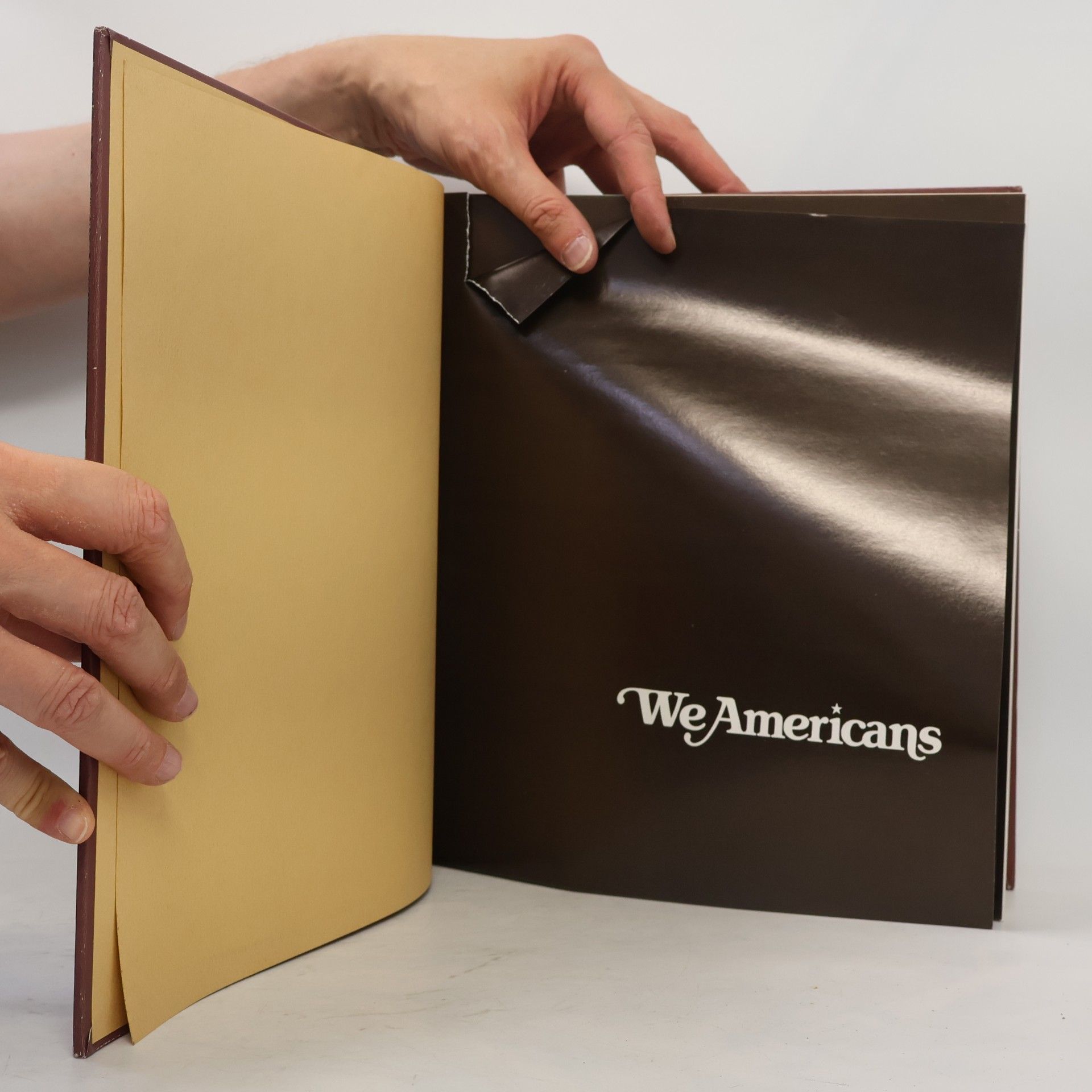Auteurscollectief We Americans