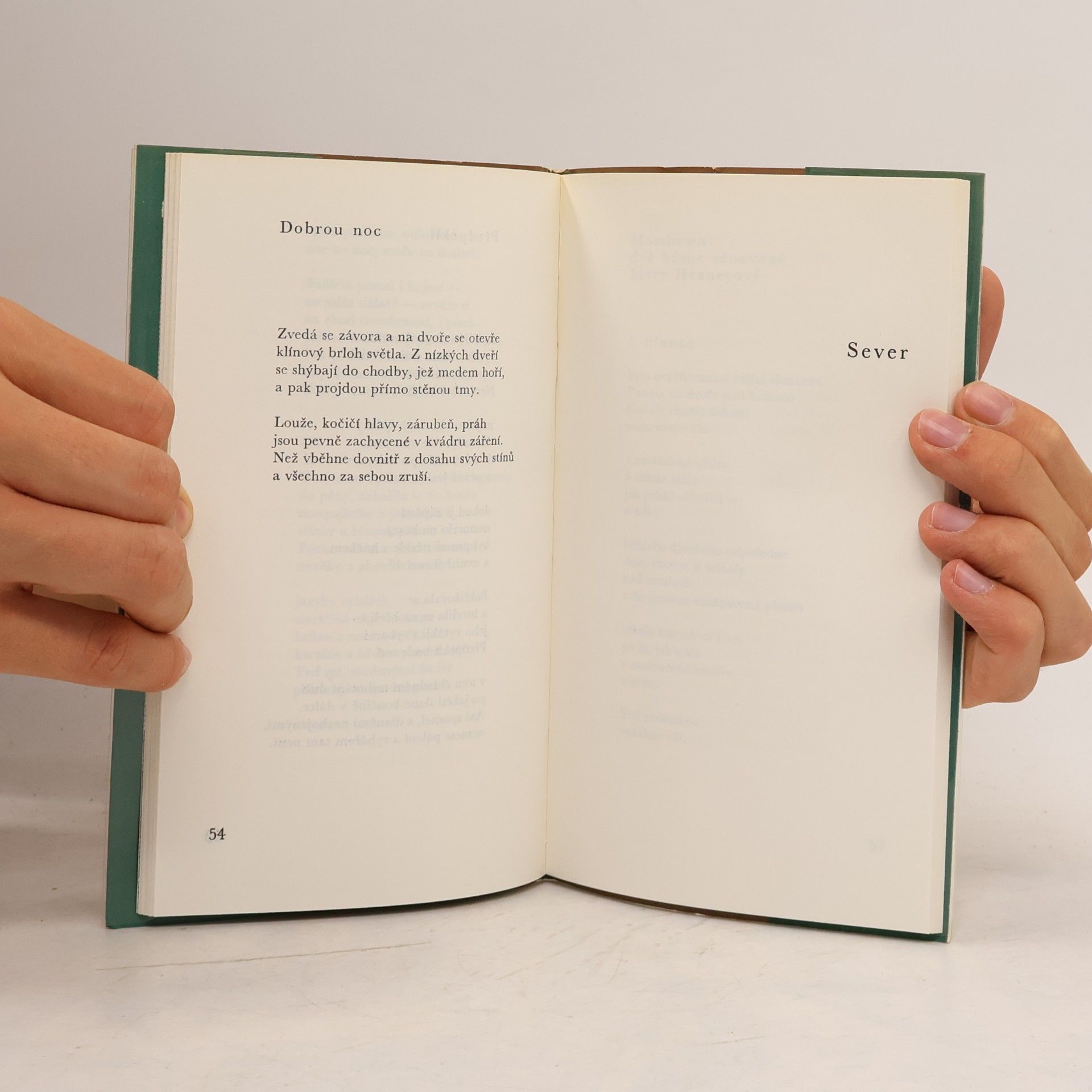 Seamus Heaney Přezimování pod širým nebem
