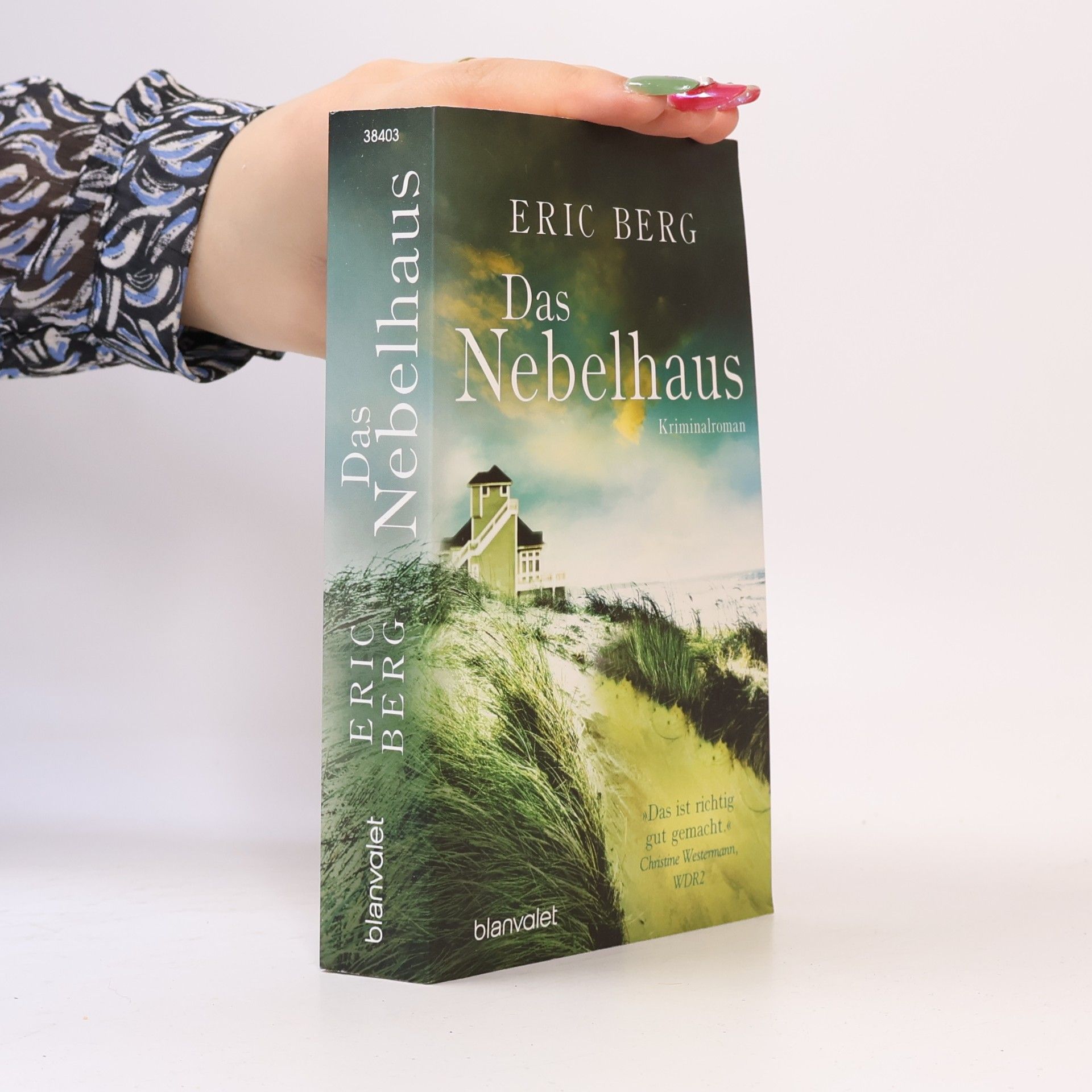 Das Nebelhaus