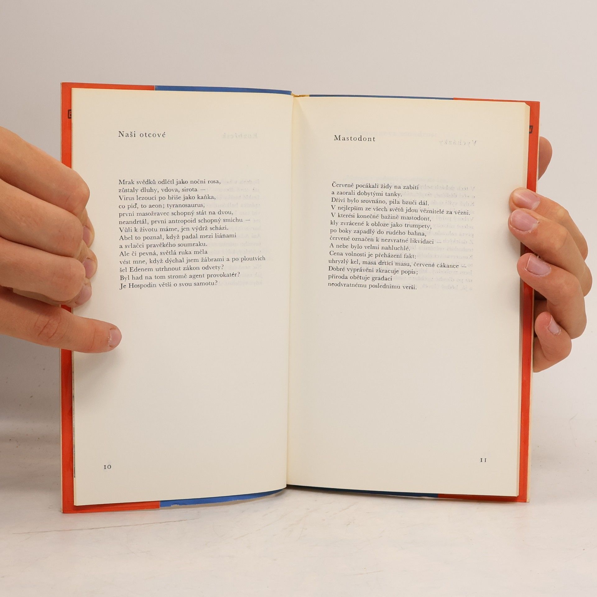 Robert Lowell Zjizvené nebe
