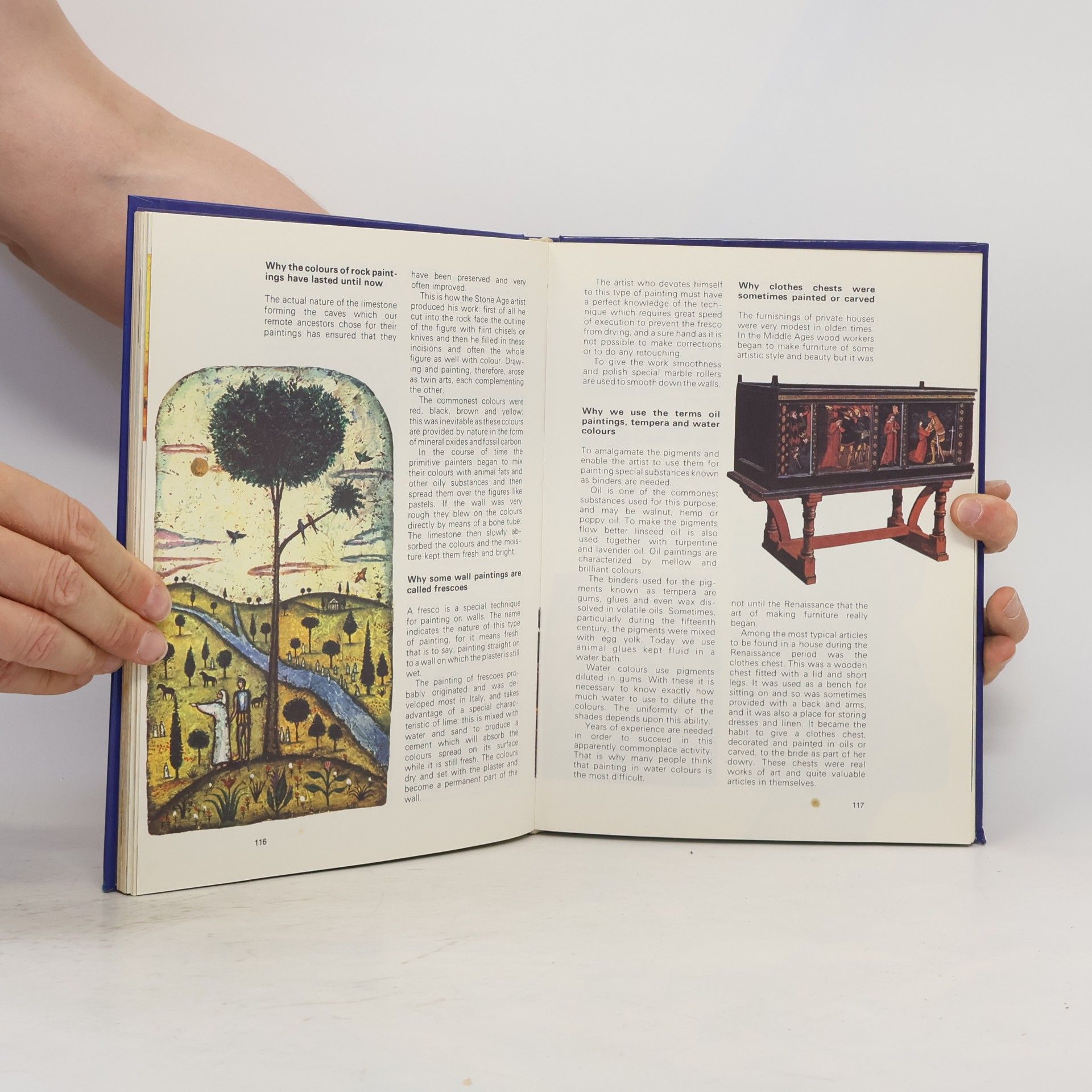 Giuseppe Zanini The book of why