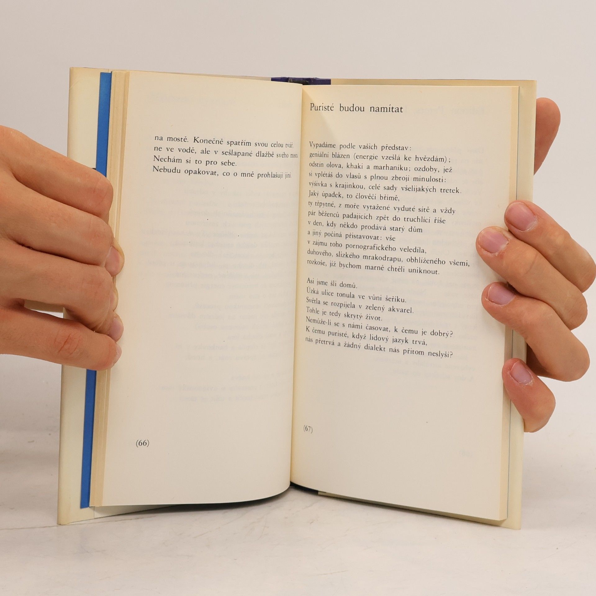 John Ashbery Autoportrét ve vypouklém zrcadle