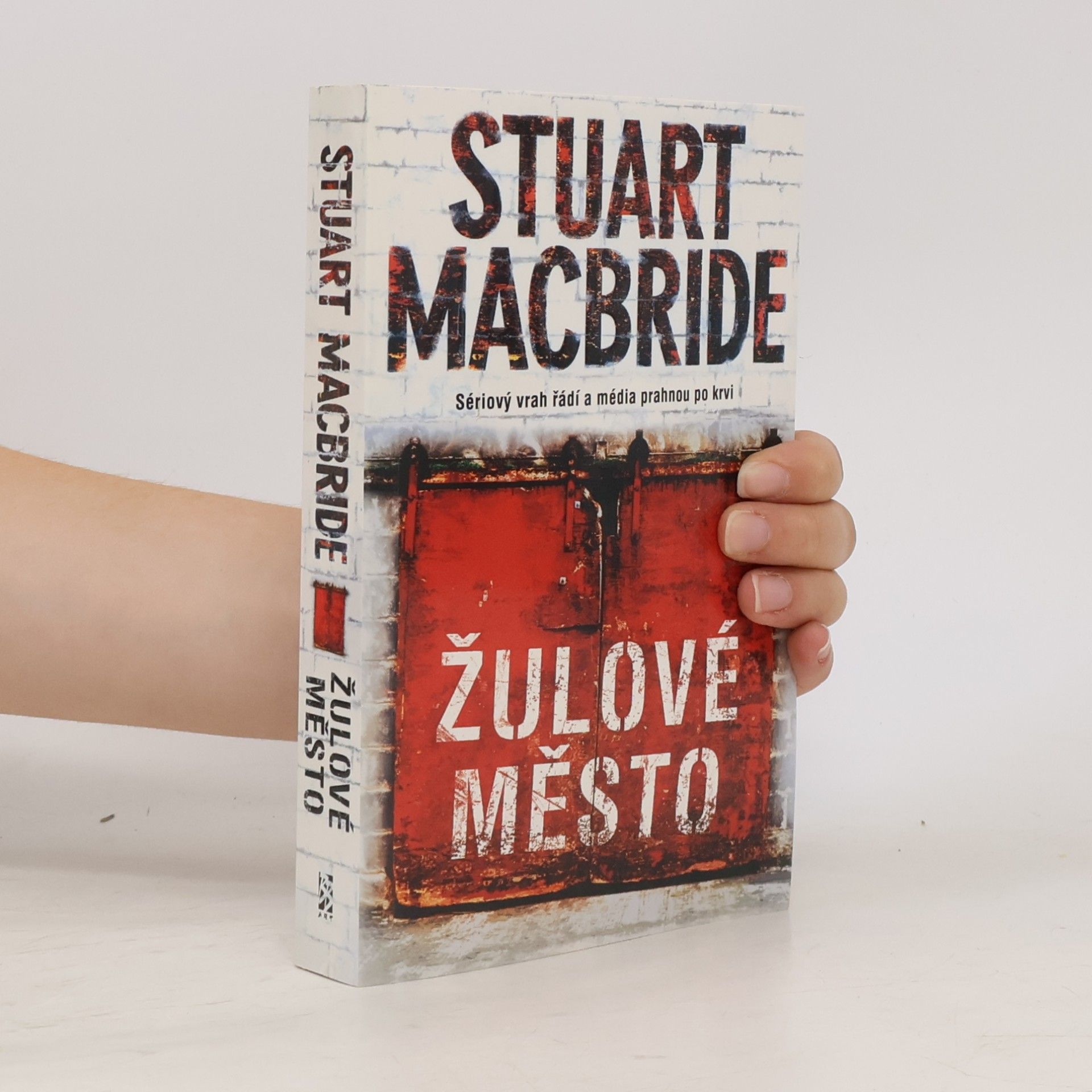 Stuart MacBride Žulové město