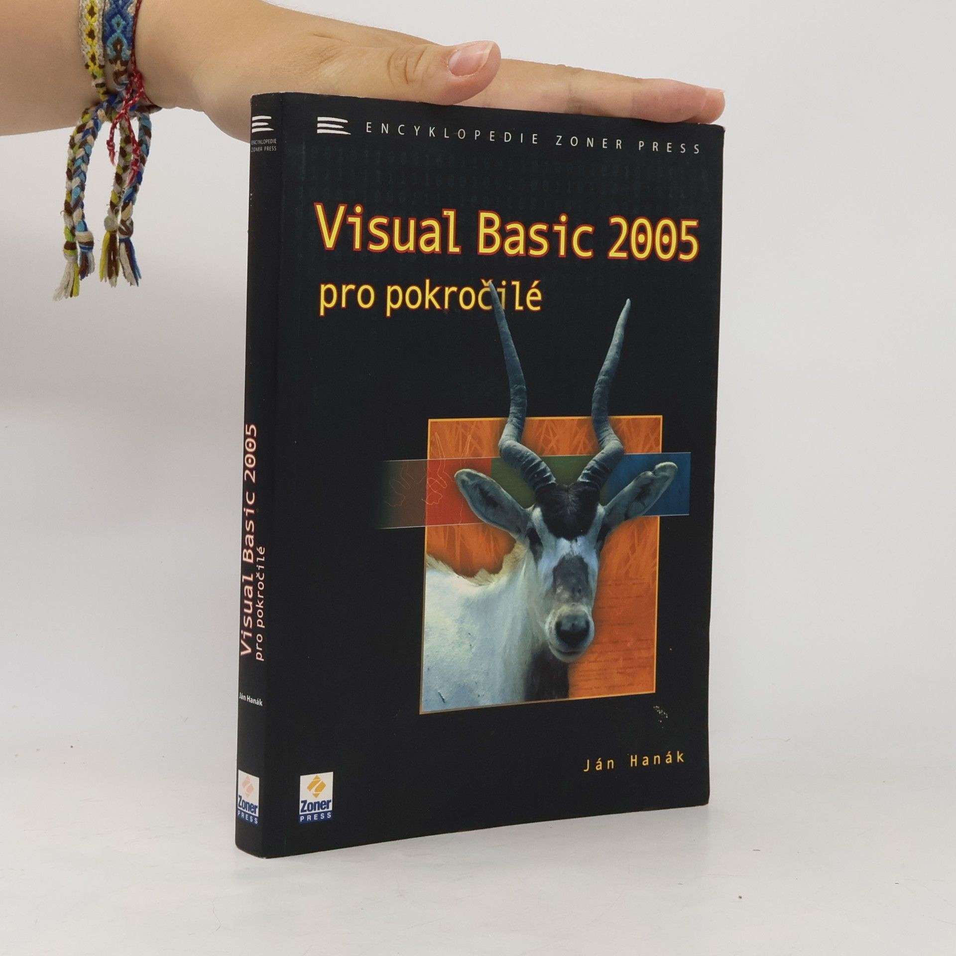 Visual Basic 2005 pro pokročilé
