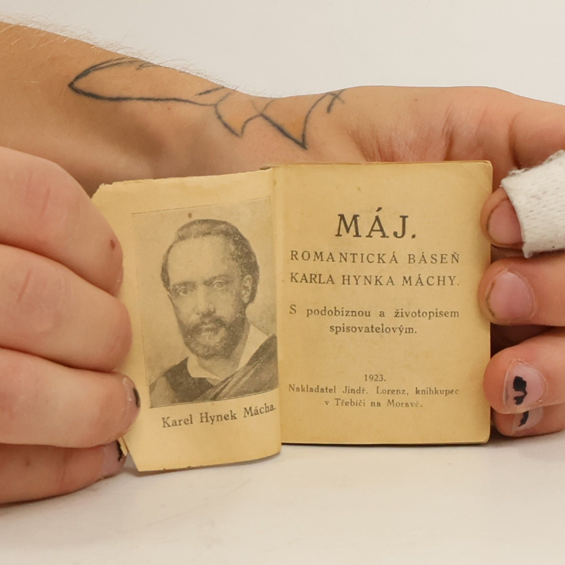 Karel Hynek Mácha Máj