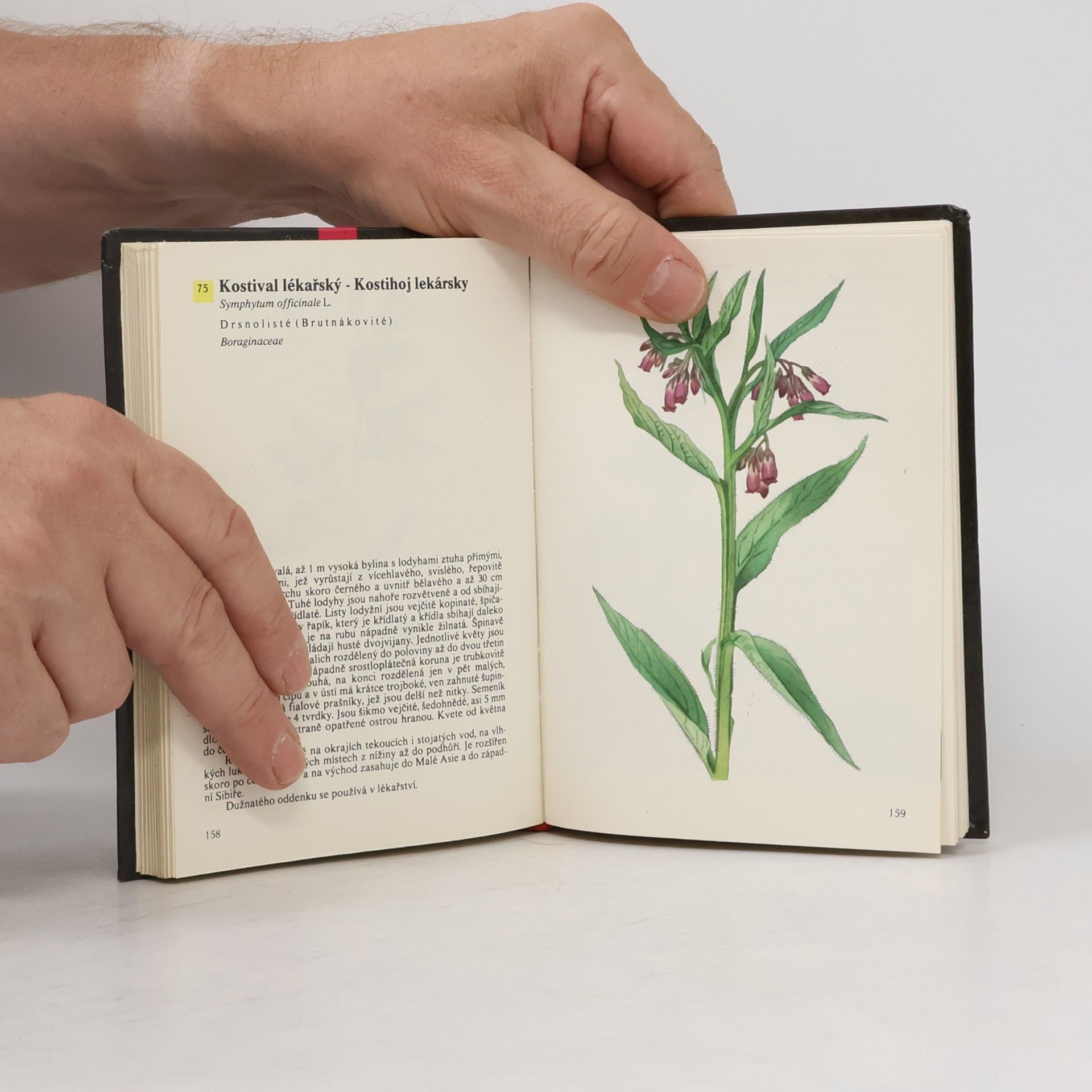 Otto Ušák Kapesní atlas rostlin