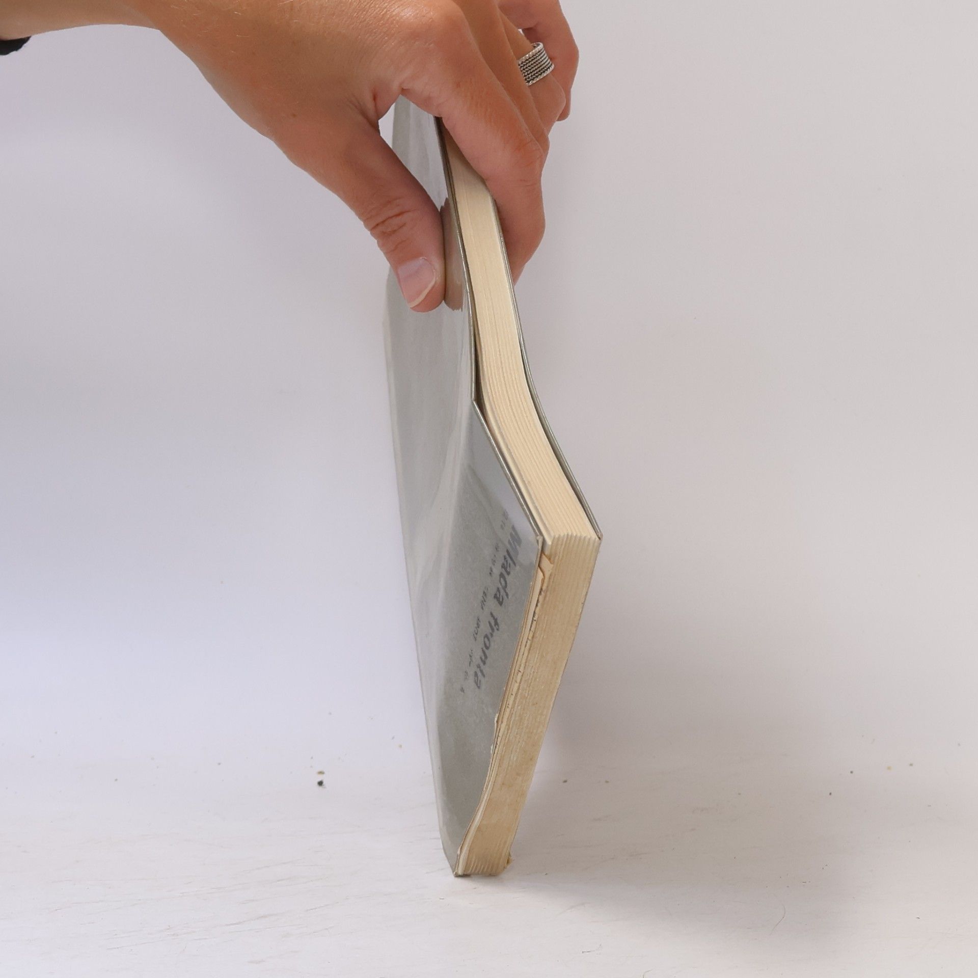Václav Černý Studie ze starší světové literatury