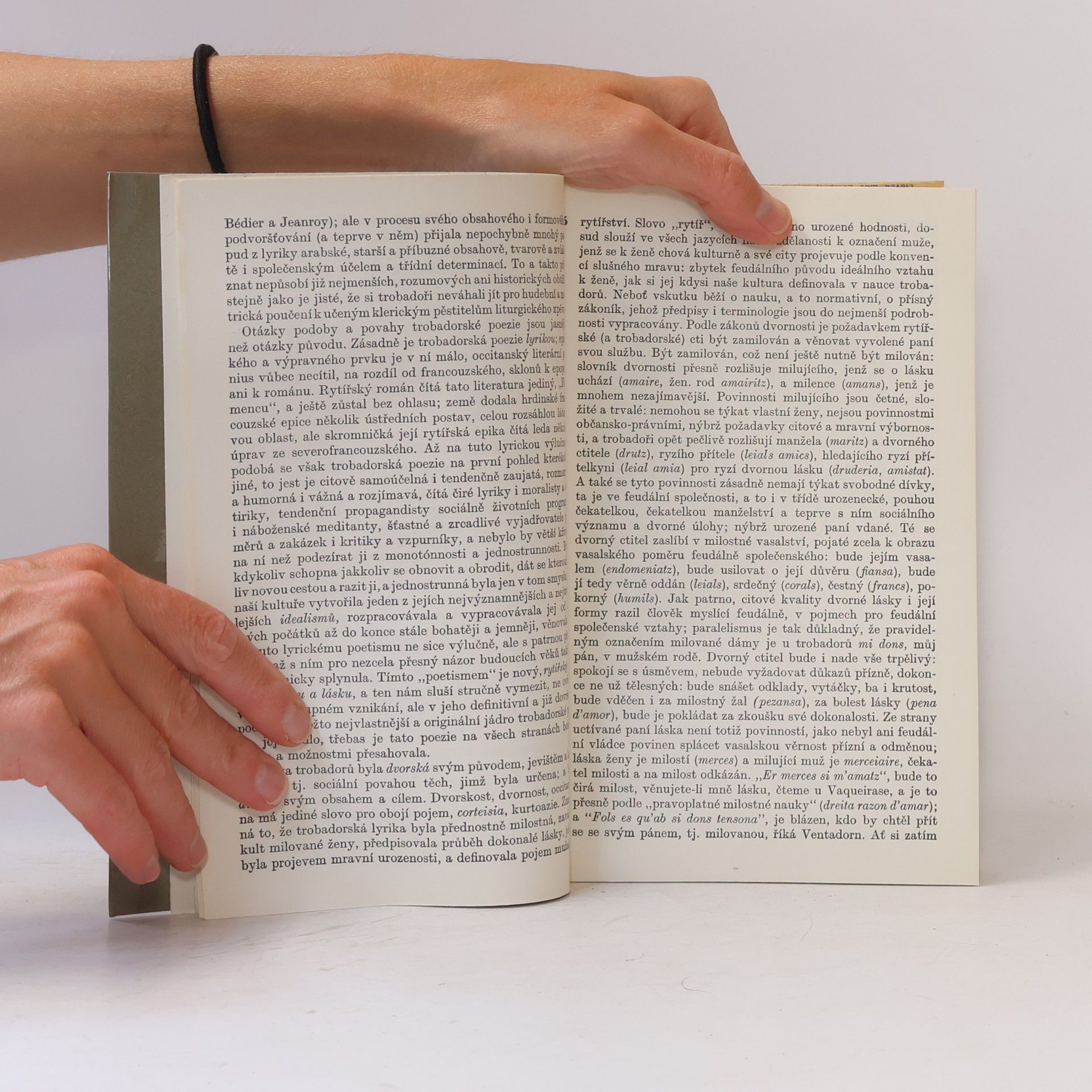 Václav Černý Studie ze starší světové literatury